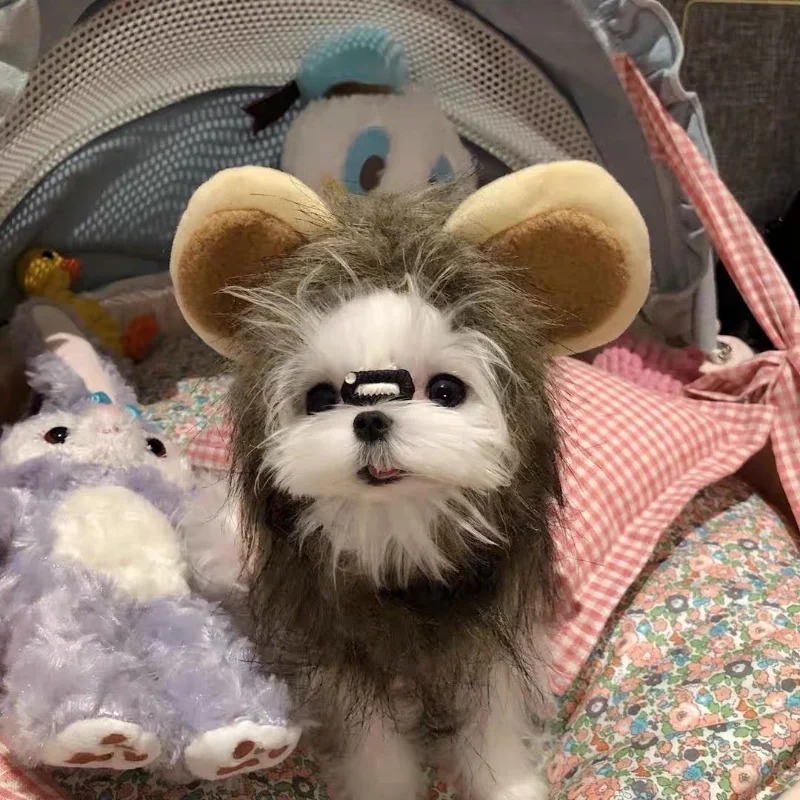 Cute Mane Hat for Dogs and Small Dog Cat Decor Accessories Lion Wig Fancy Hair Cap Pet Supplies