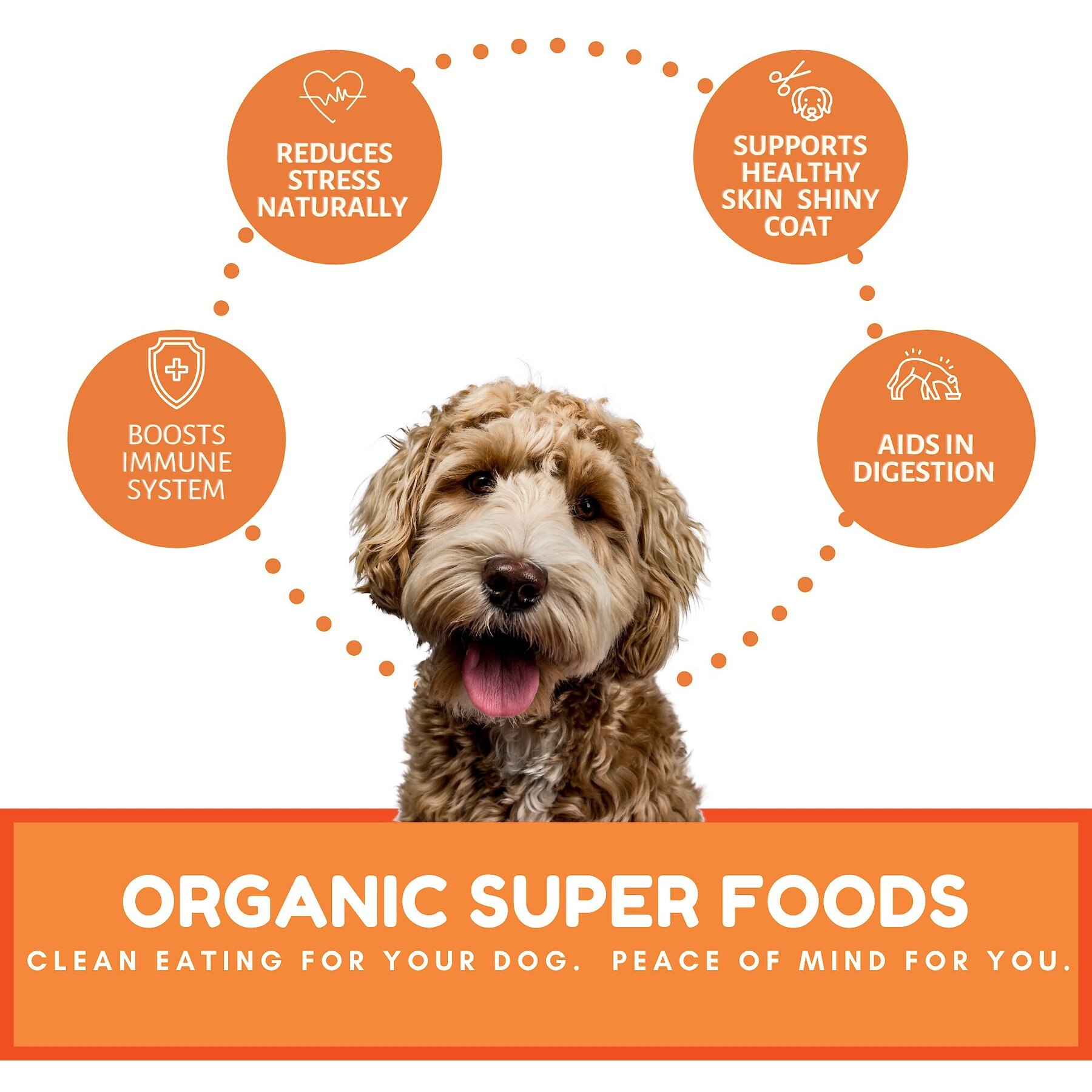 Dog Mamma’s Organic Pumpkin Snaps Dog Treats