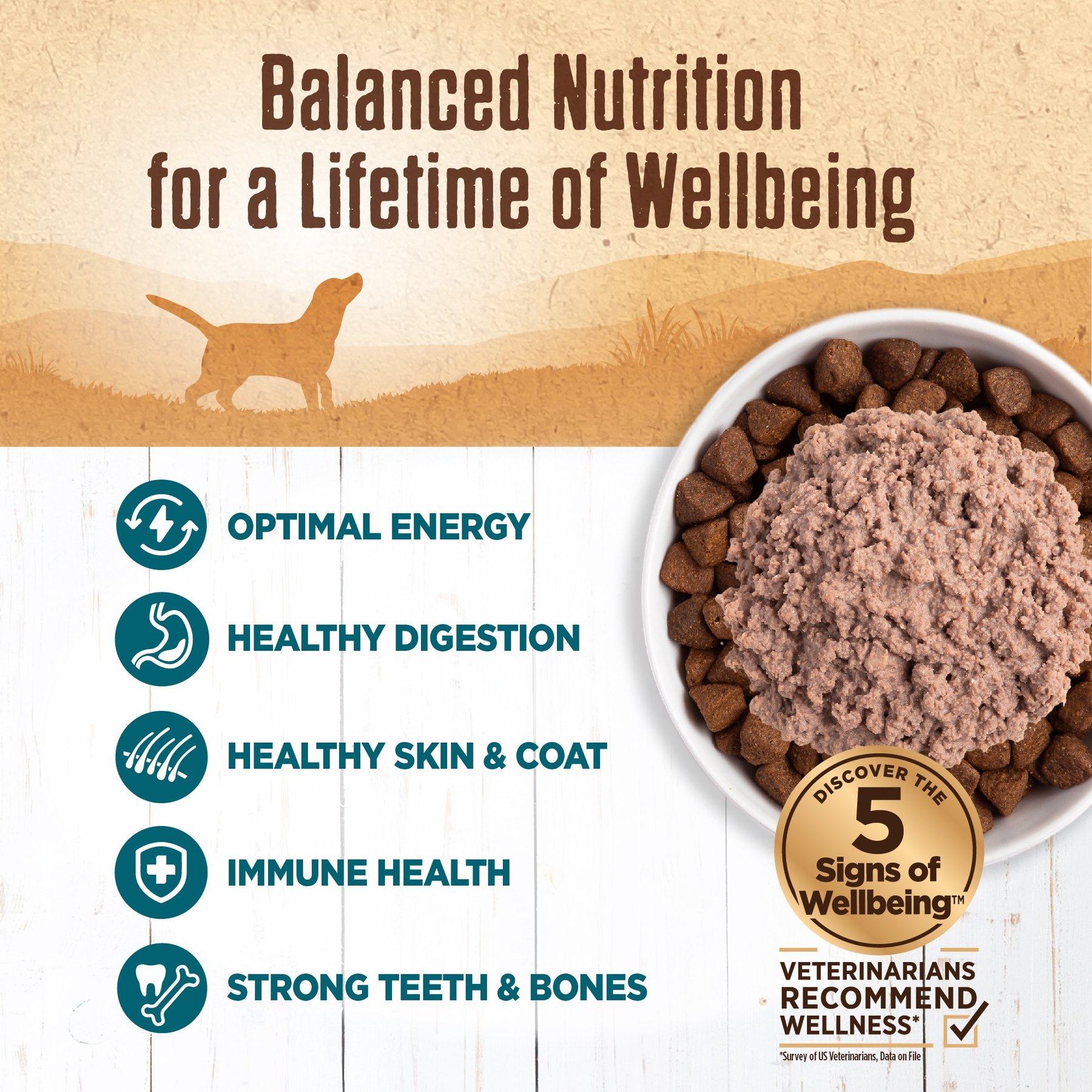 Wellness 95% Whitefish Natural Grain-Free Wet Dog Food Topper, 13.2-oz can, case of 12