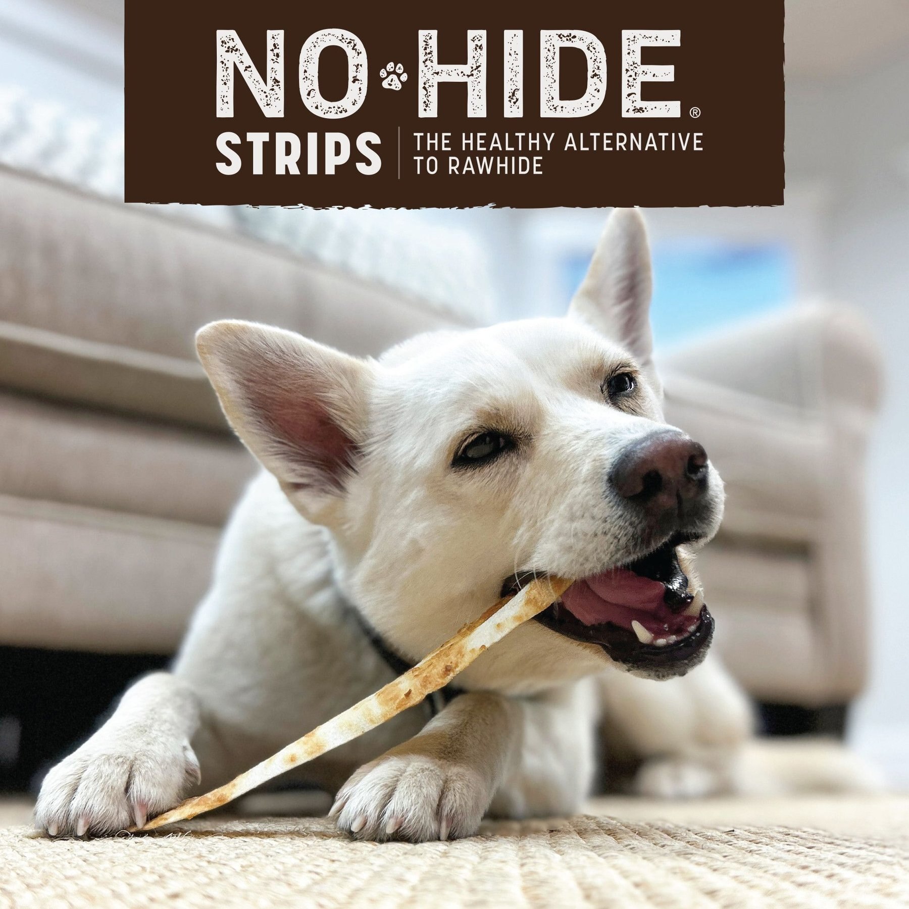 Earth Animal No-Hide Strips Thin Natural Rawhide Alternative Beef Recipe Chew Dog Treat