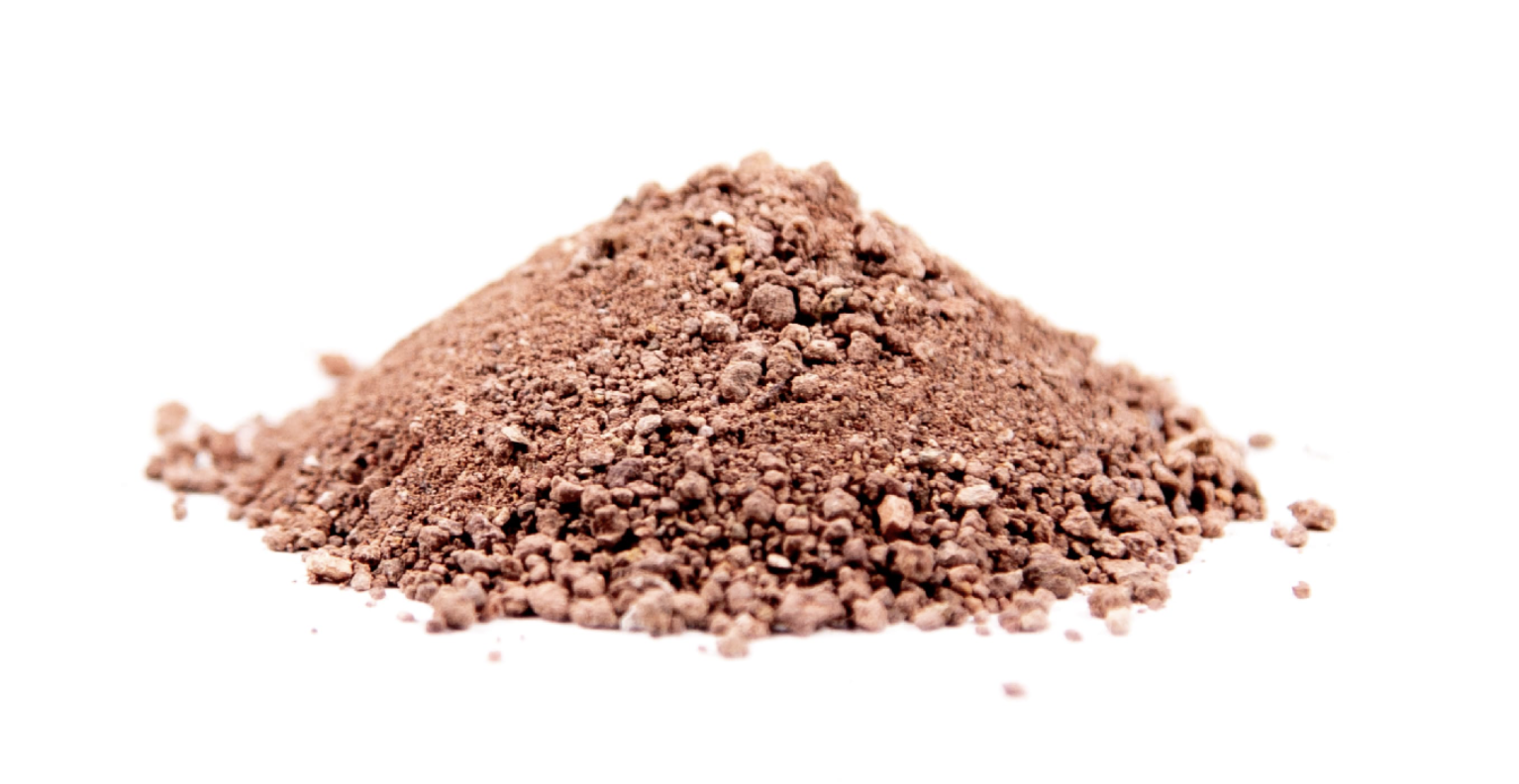 Desert Ant Formicarium with Gravel and Artificial Plant