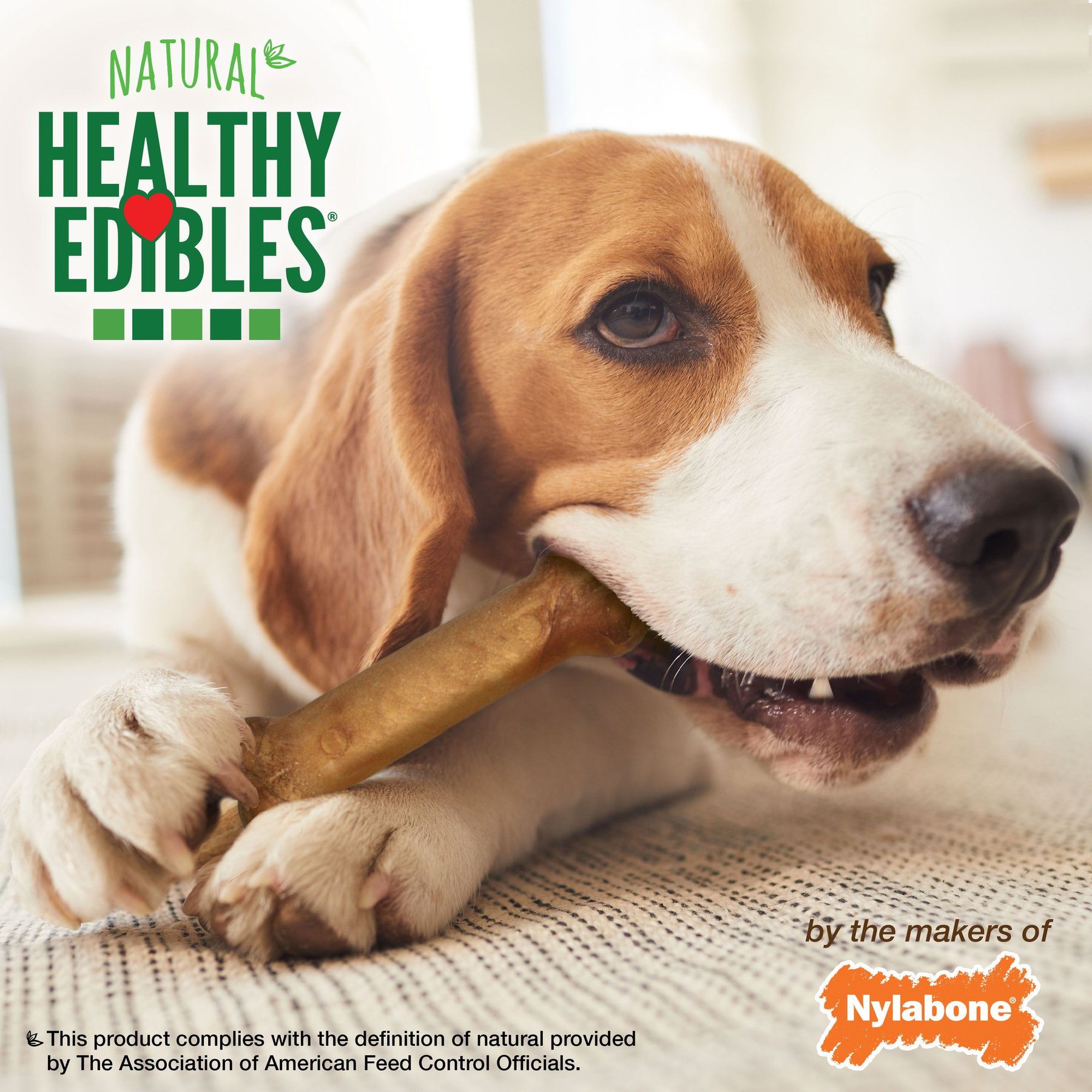 Nylabone Healthy Edibles All-Natural Long Lasting Roast Beef Dog Chew Treats