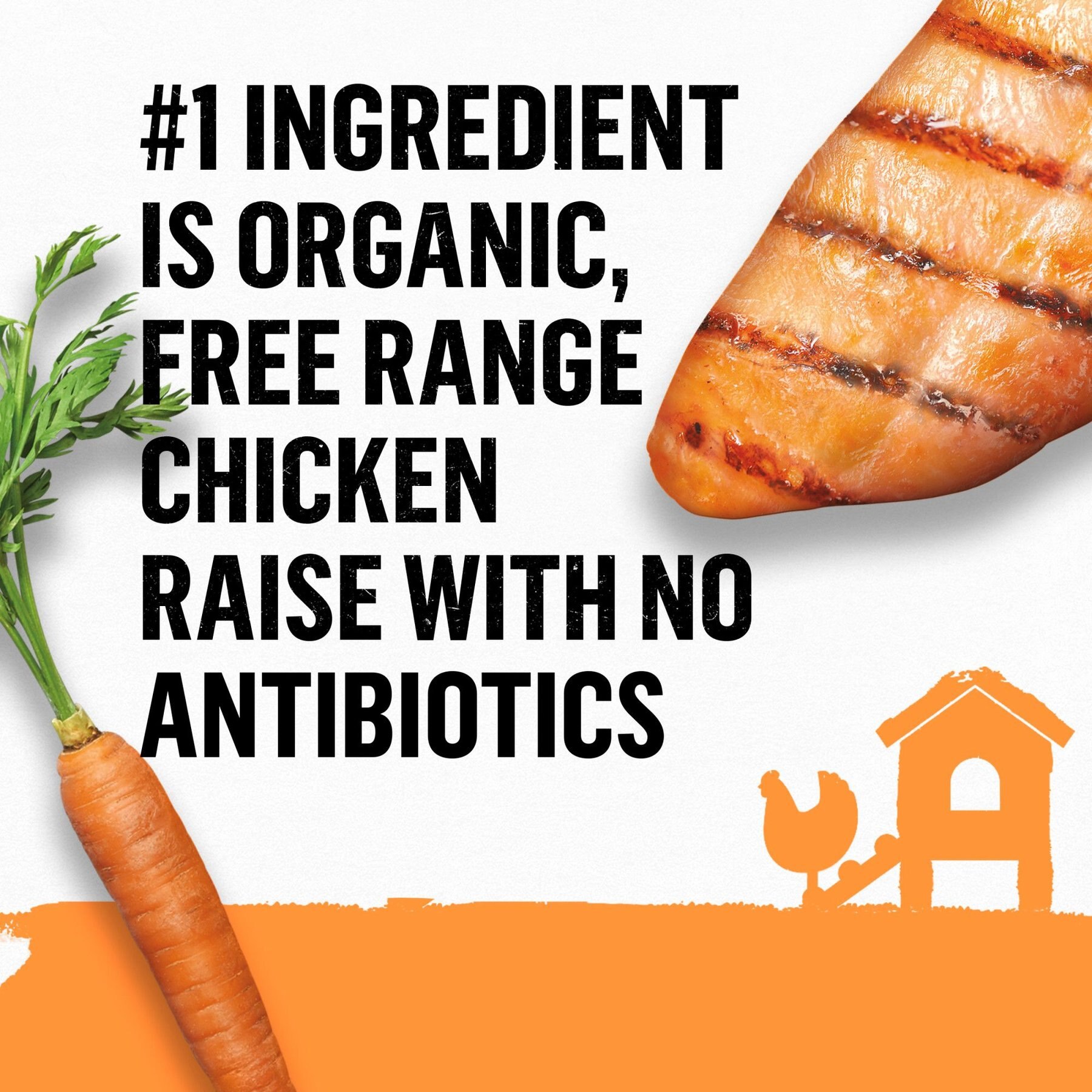 Purina Beyond Organic Chicken & Carrot Recipe Wet Dog Food, 13-oz can, case of 12