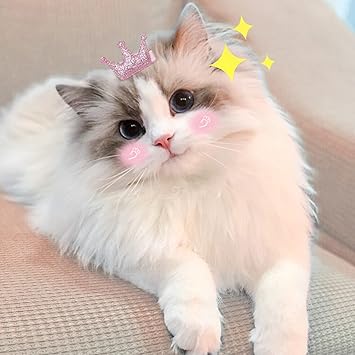 WWW Small Clips 5 Pcs Dog Bows Girls Puppies Barrettes Cute Bow Crown Hairpin Head Flower Pins Cat Puppy Party Birthday Grooming Hair Accessories