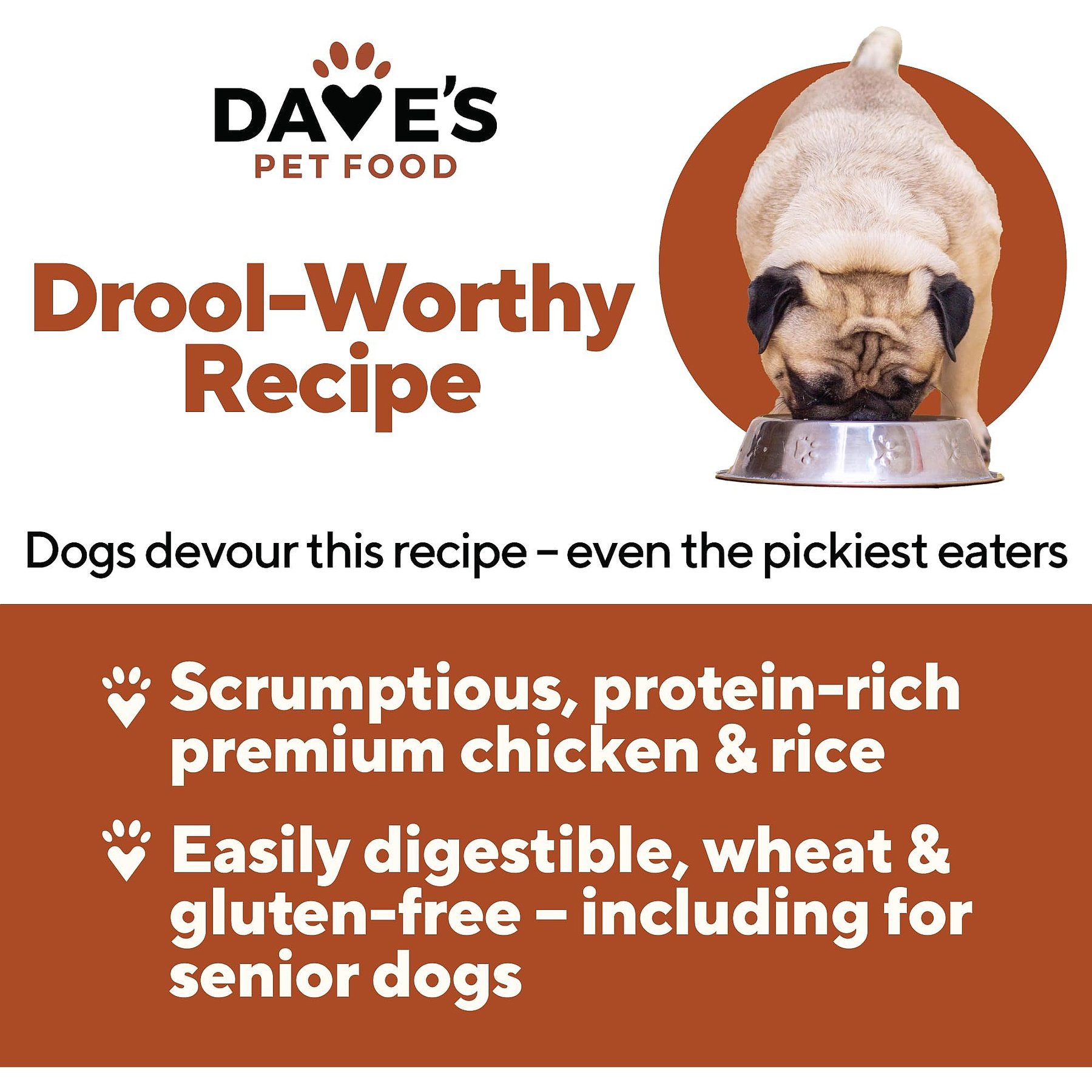 Dave's Pet Food Naturally Healthy Chicken & Rice Recipe Pate Canned Wet Dog Food