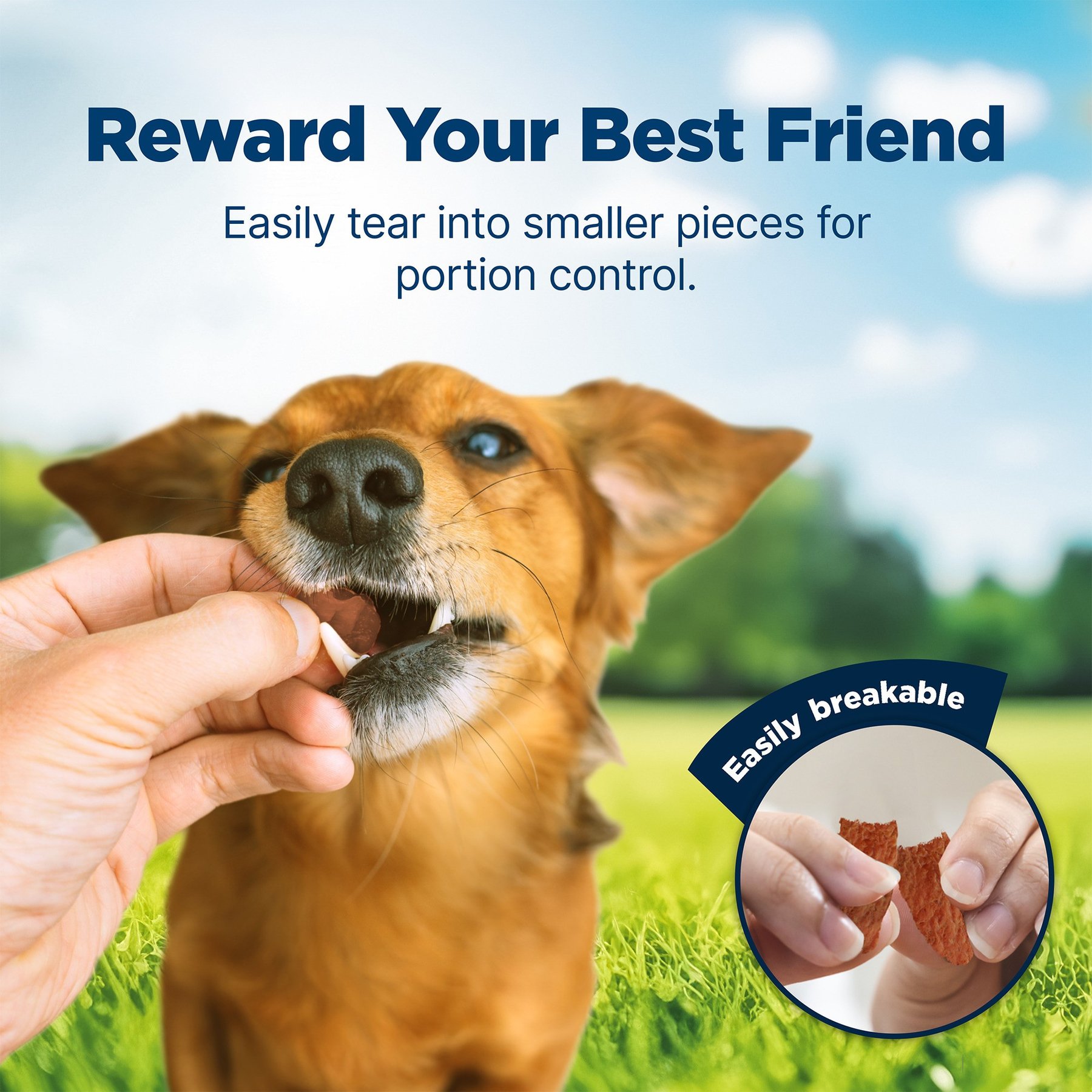 Blue Buffalo Nudges Jerky Cuts Chicken Dog Treats