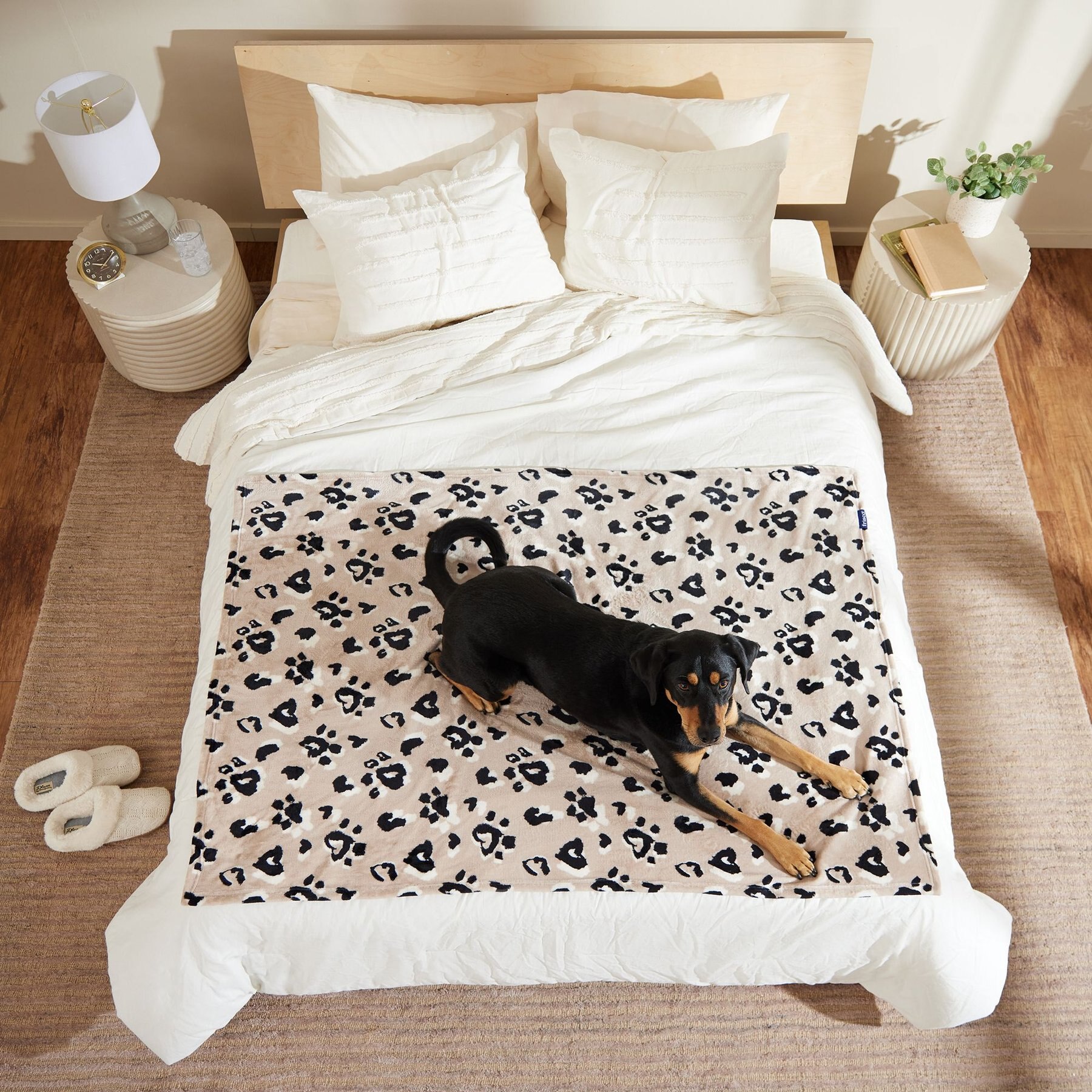 Frisco Plush Cat & Dog Throw Blanket