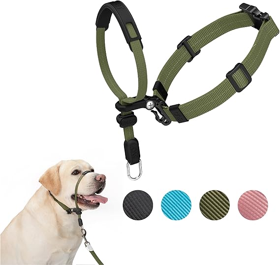 SVD.PET No-Pull Dog Headcollar Easier Walks, Chew-Proof Protector Increase Comfort, Simple Design, Easy to Wear Adjust (Medium for Small and Medium Si