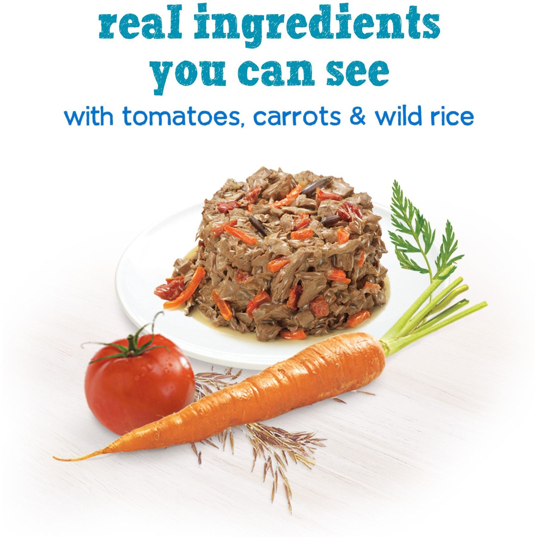 Purina Beneful IncrediBites with Real Beef, Carrots, Wild Rice & Gravy Small Breed Wet Dog Food