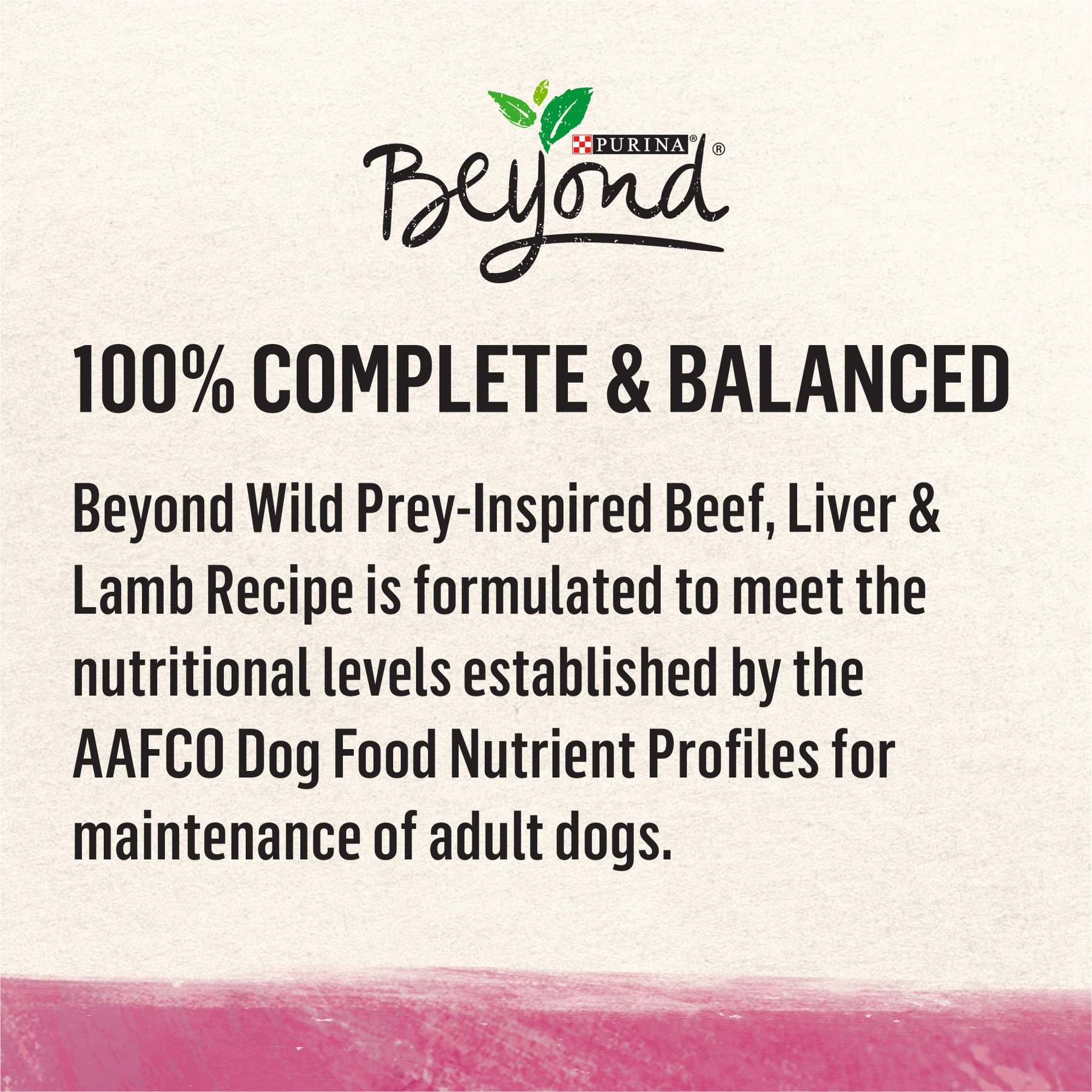 Purina Beyond Wild Prey-Inspired Grain-Free High Protein Beef, Liver & Lamb Pate Recipe Canned Dog Food
