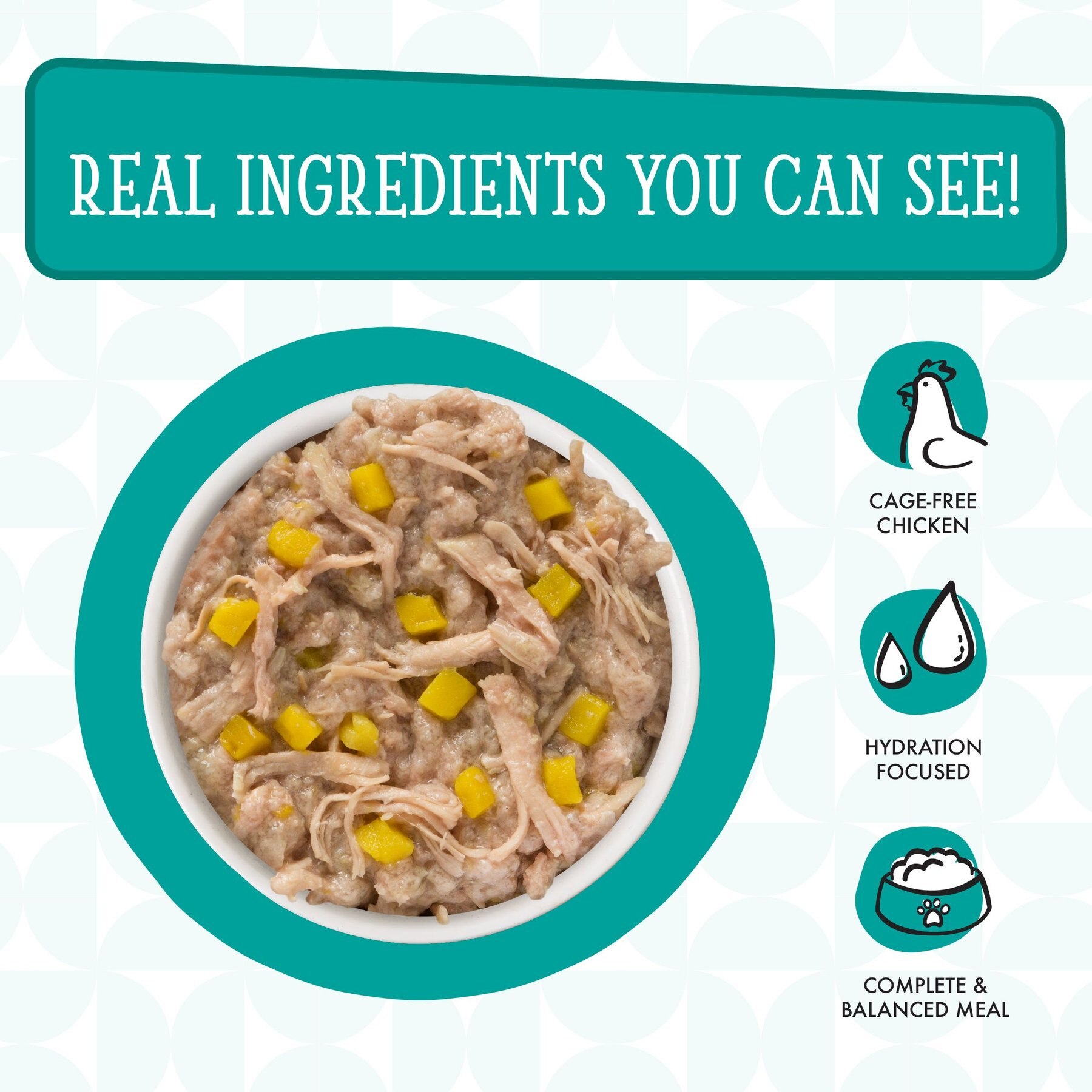 Weruva Dogs in the Kitchen Funk in the Trunk with Chicken Breast & Pumpkin Au Jus Grain-Free Dog Food Pouches