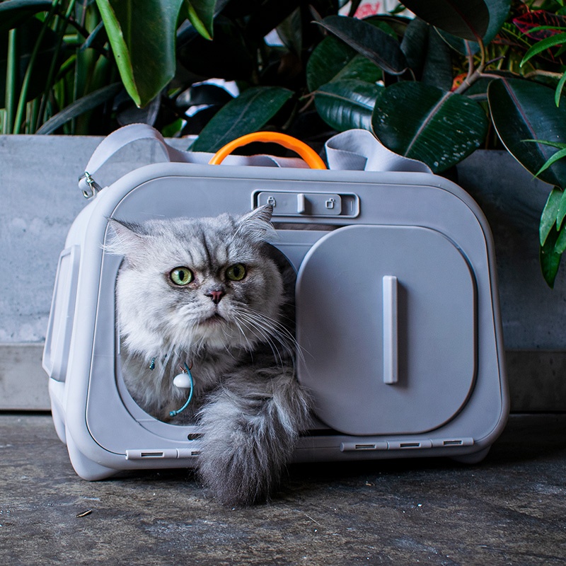 New eco-friendly PP Plastic pet carrier Travel Cage big house with Thermometer