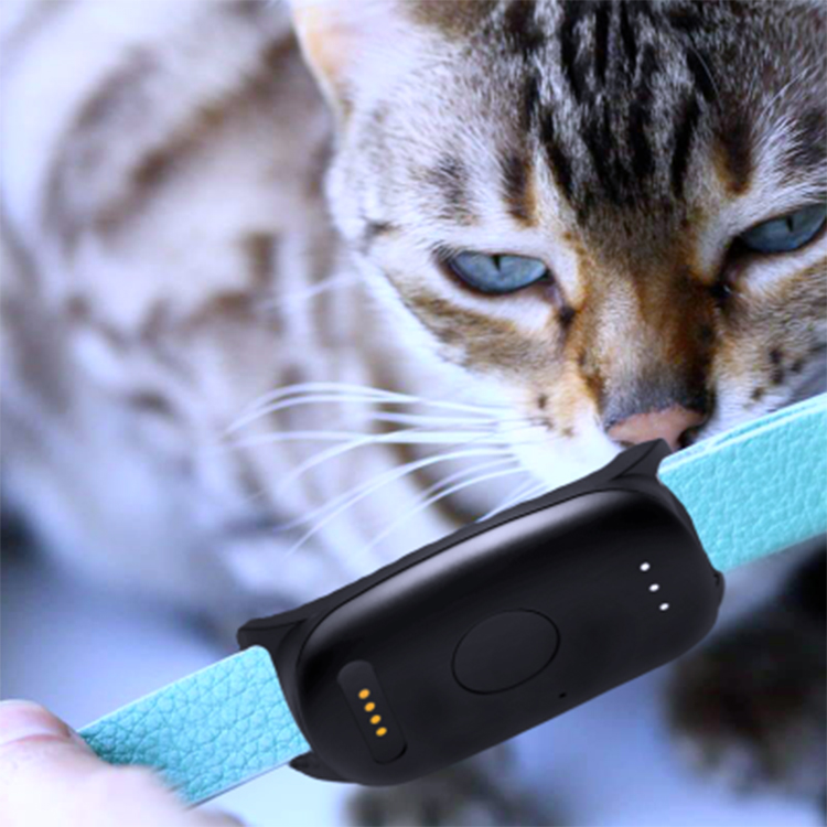 Brand Eview Locator EV-201 Real Time Dog GPS Tracking Device Collar With Custom Packing Box