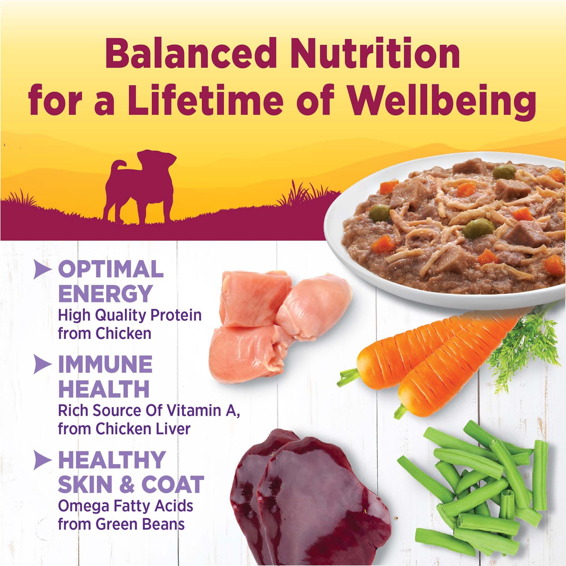 Wellness Petite Entrees Shredded Medley Chicken & Duck Small Breed Natural Wet Dog Food, 3-oz cup, 12 count