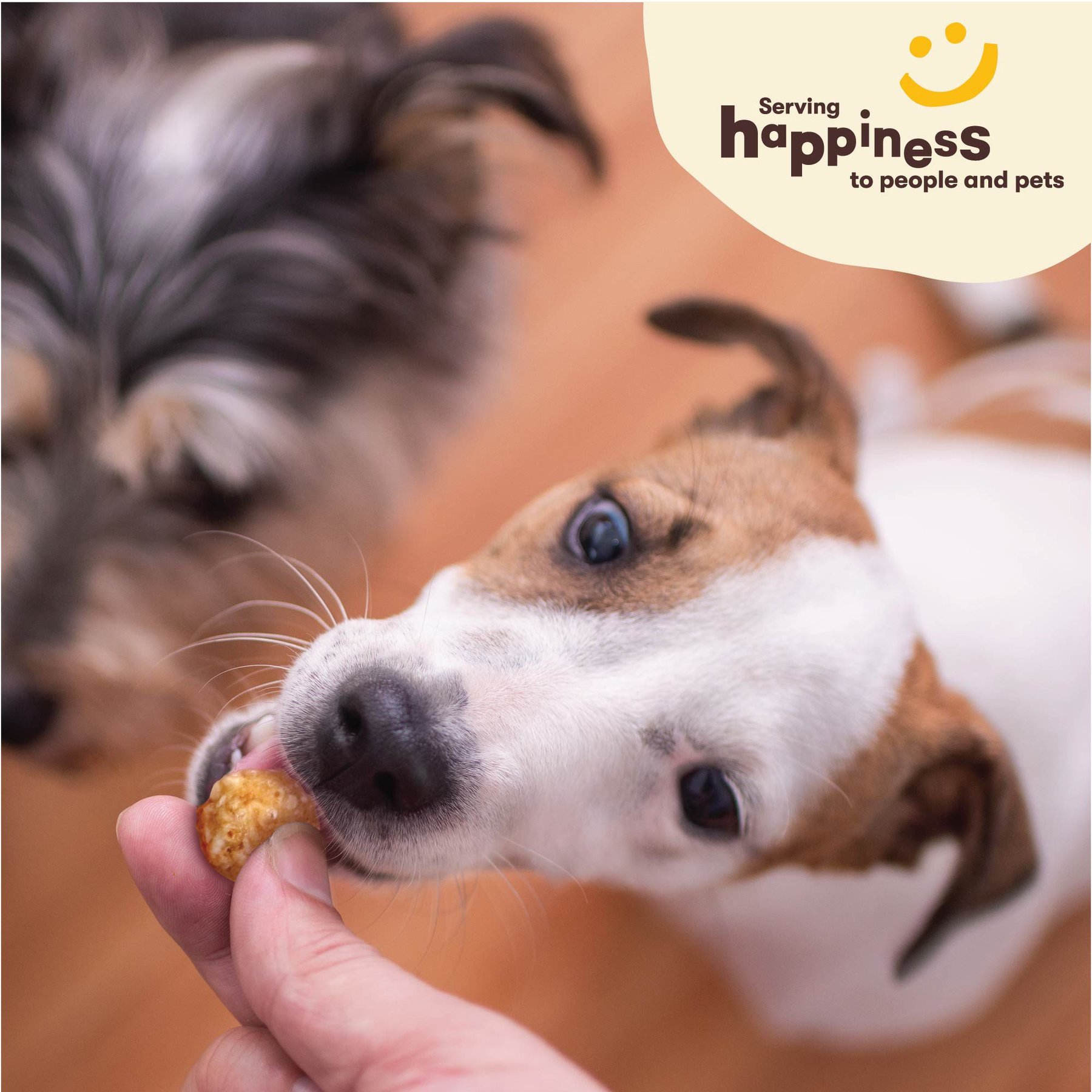 Pet 'n Shape Chik 'n Rice Balls Dog Treats