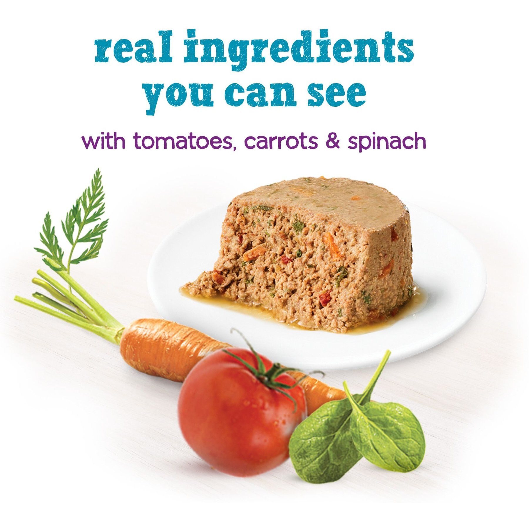 Purina Beneful IncrediBites Pate with Real Salmon, Tomatoes, Carrots & Spinach Wet Dog Food