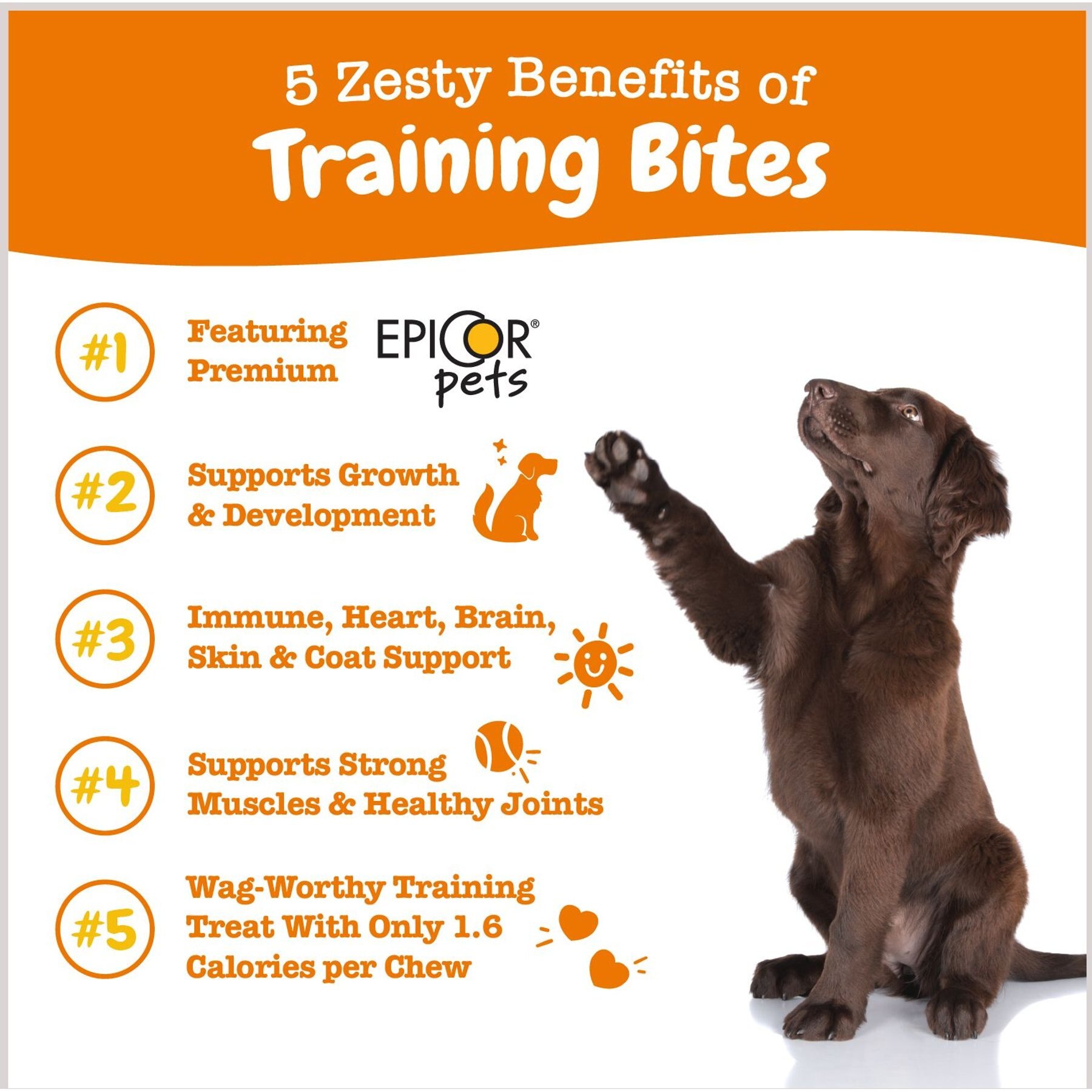 Zesty Paws All-in-One Bacon Flavored Soft & Chewy Training Bites Multivitamin Dog Treats