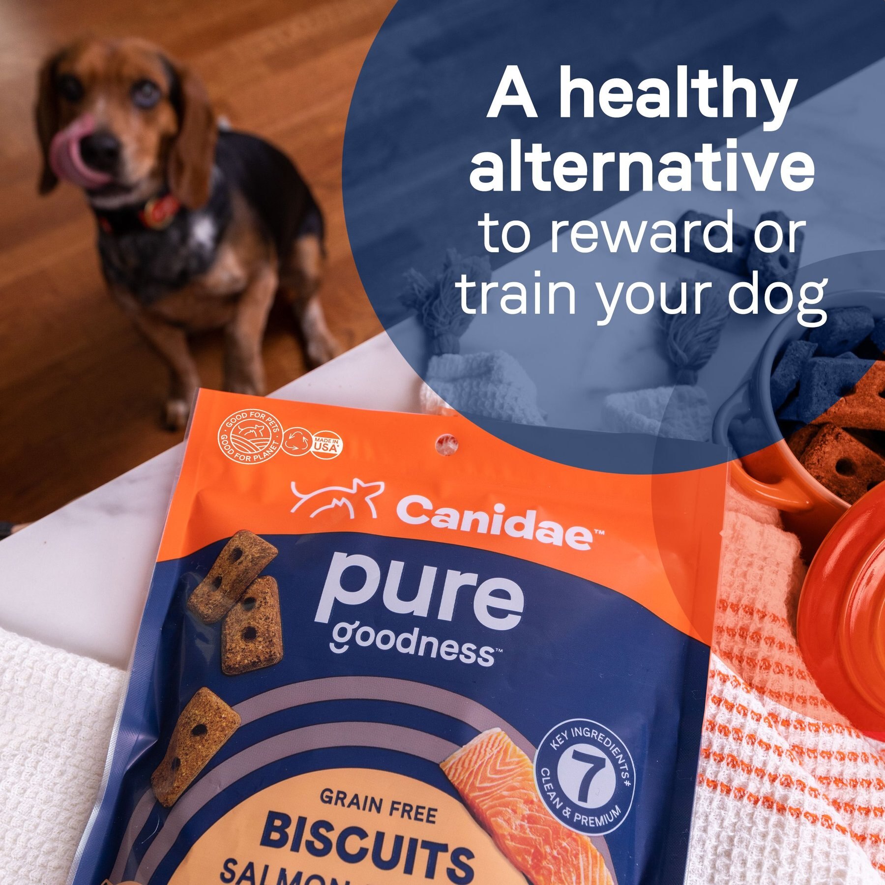 CANIDAE Pure Biscuits with Salmon & Sweet Potato Dog Treats