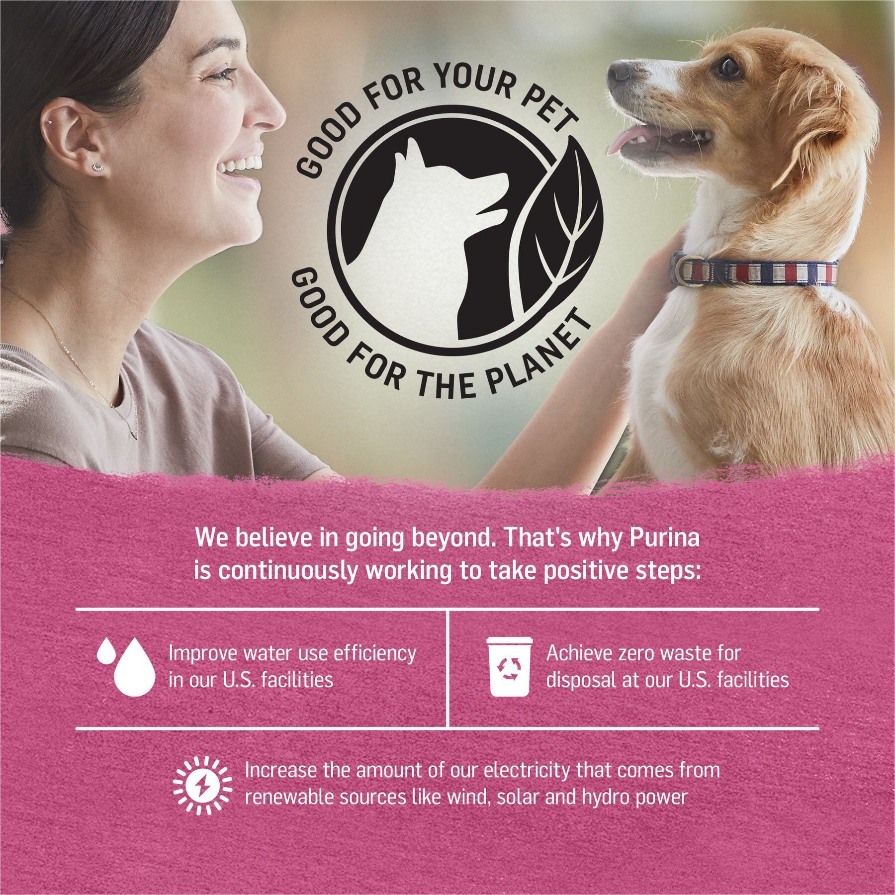 Purina Beyond Beef, Chicken & Turkey Recipes Variety Pack Grain-Free Wet Dog Food, 12.5-oz can, case of 12