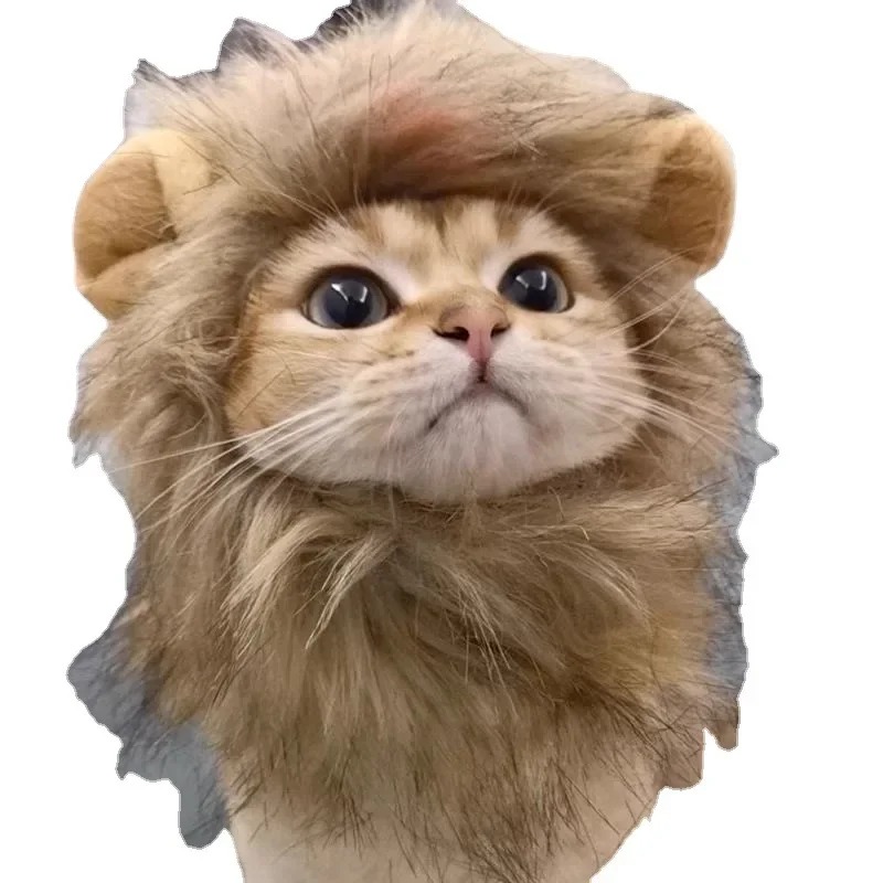 Cute Mane Hat for Dogs and Small Dog Cat Decor Accessories Lion Wig Fancy Hair Cap Pet Supplies