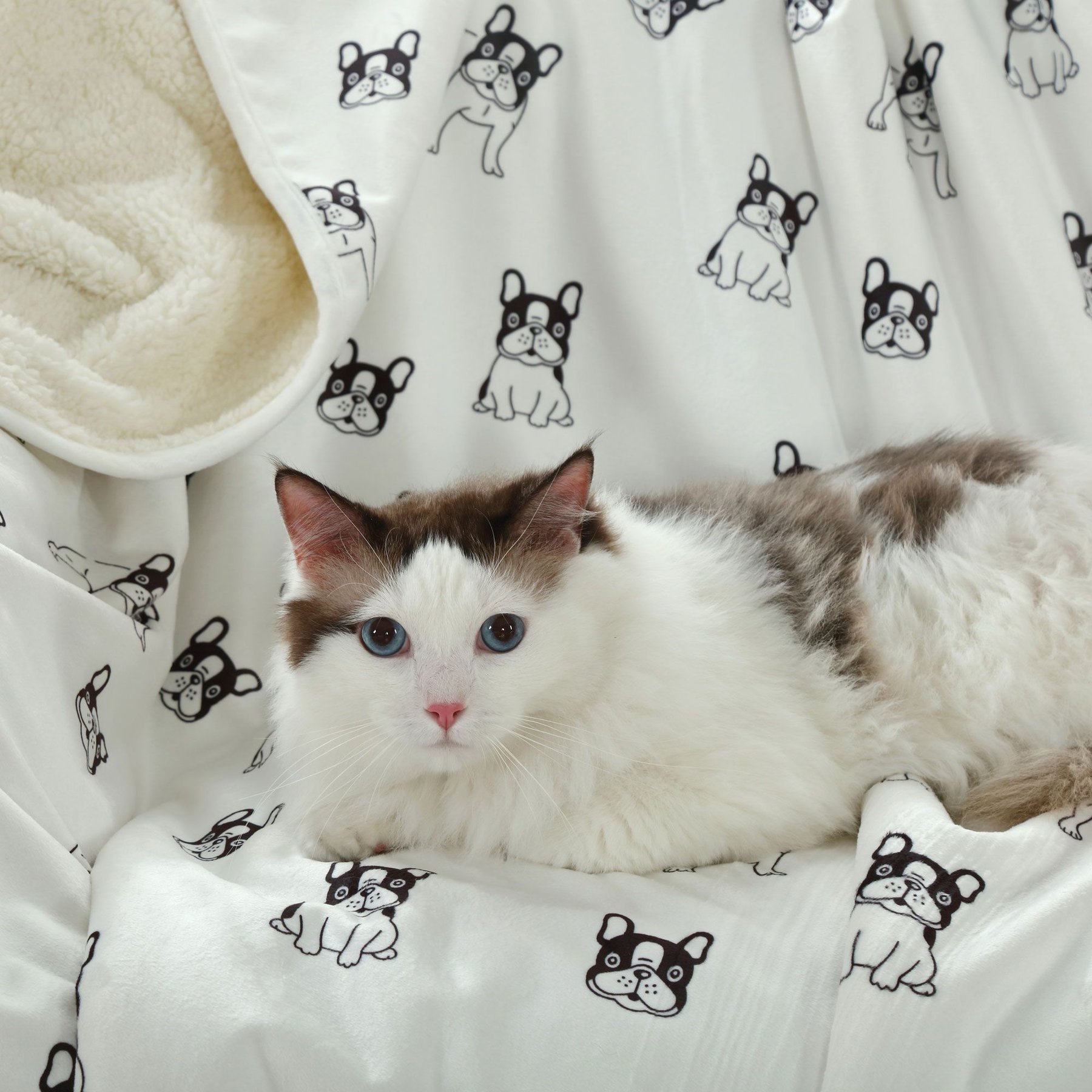 HappyCare Textiles Advanced Pets Waterproof Cat & Dog Blanket, 50x60-in