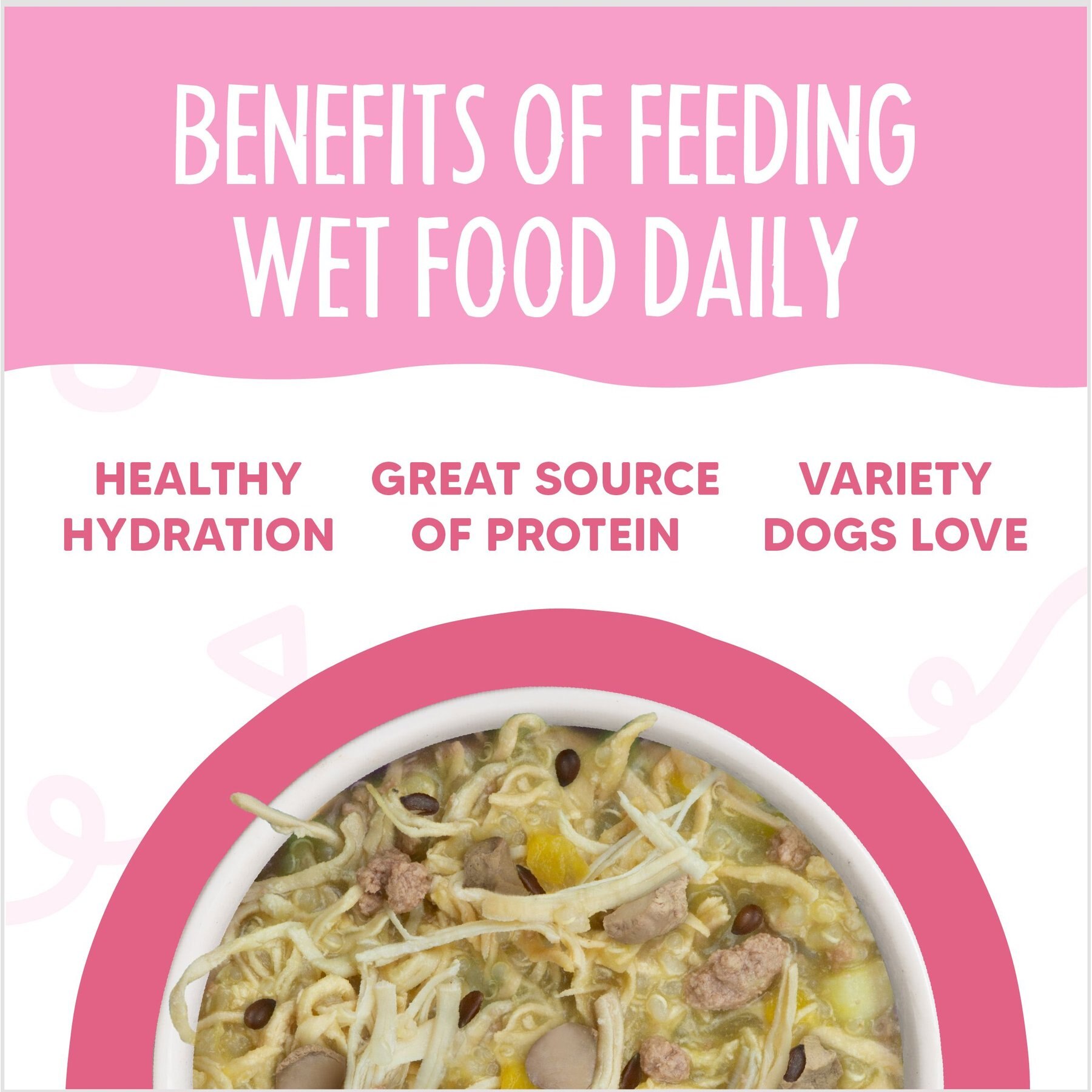 Weruva Meals 'n More Natural Wet Dog Food, Amazon Livin' Plus Digestive Support, 3.5-oz cup, 12 count