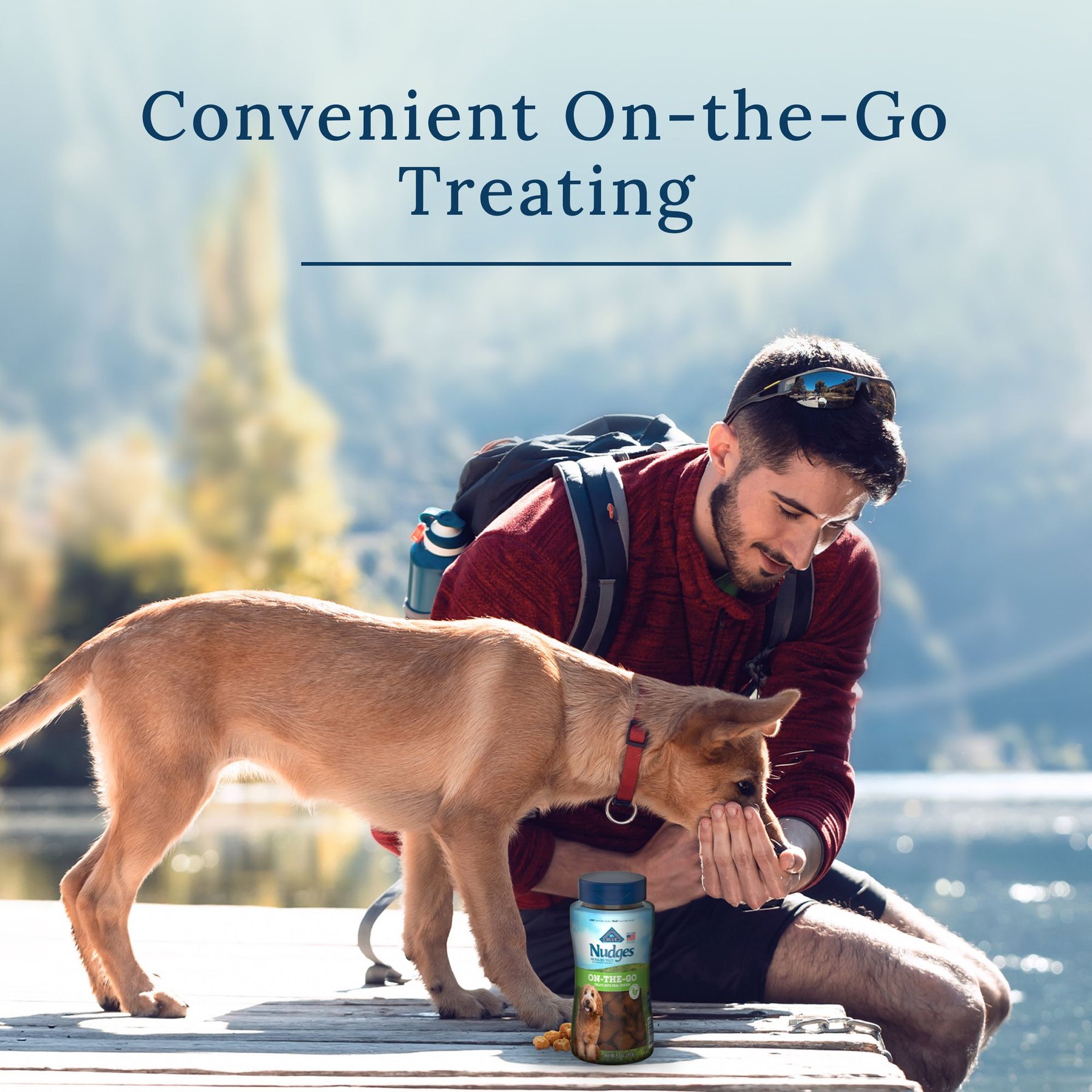 Blue Buffalo Nudges On The Go Chicken Natural Dog Treats, 5.5-oz container