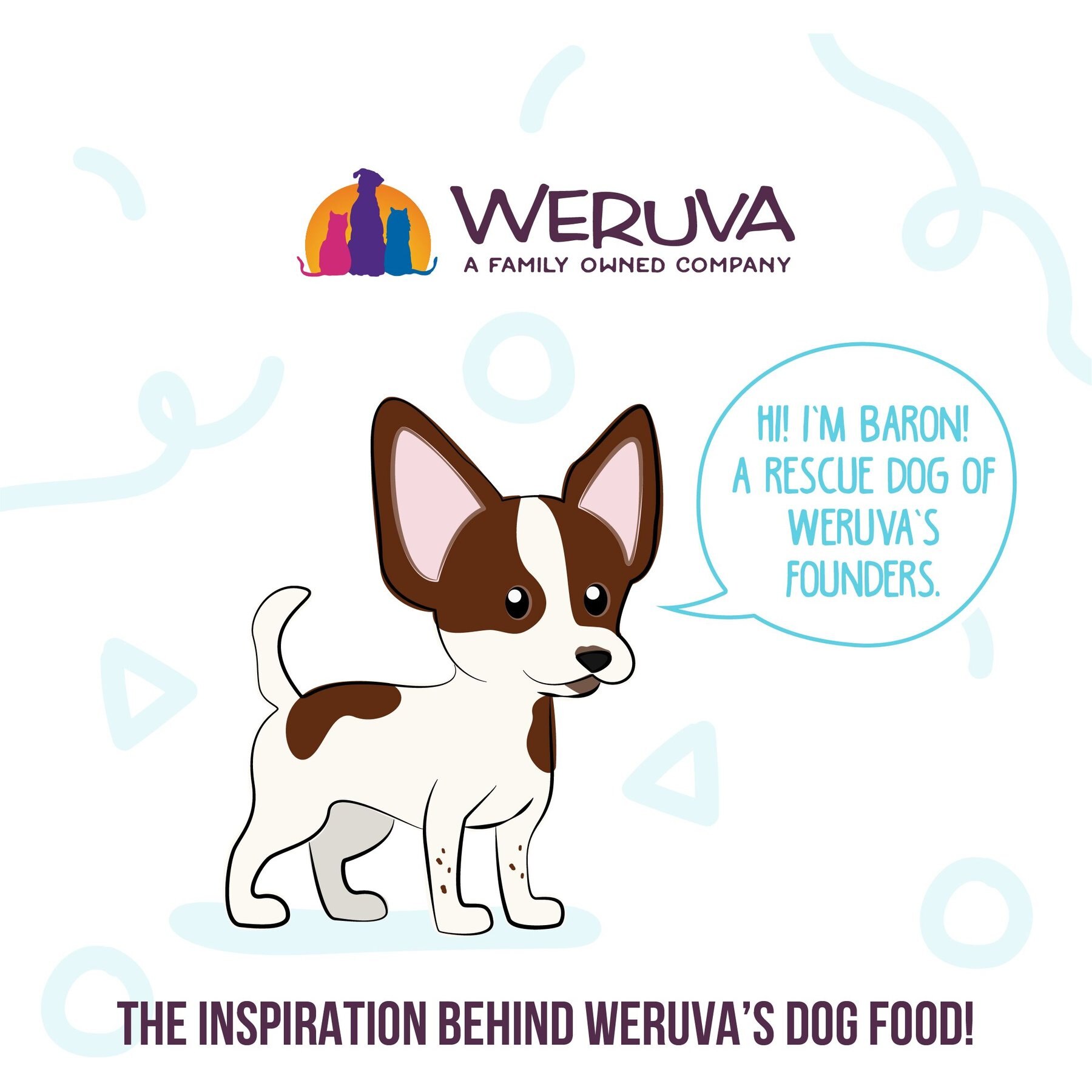Weruva Meals 'n More Natural Wet Dog Food, Steak Frites Dinner Plus Skin & Coat Health, 3.5-oz cup, 12 count