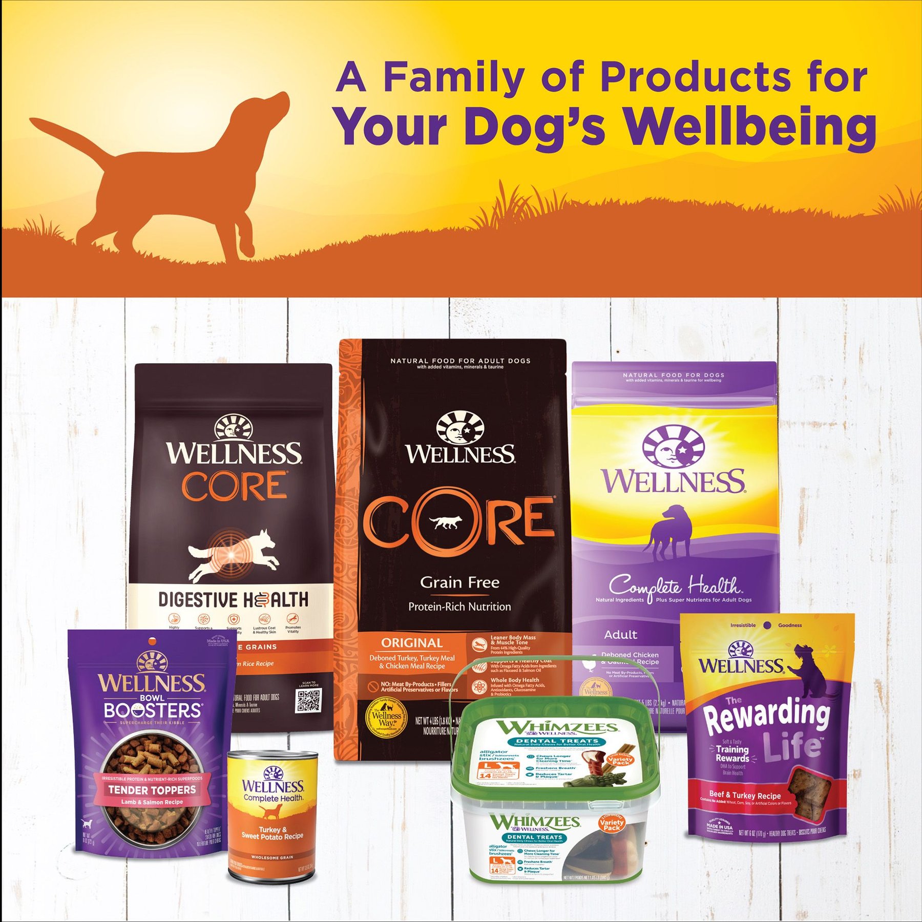 Wellness Complete Health Turkey & Sweet Potato Formula Canned Dog Food