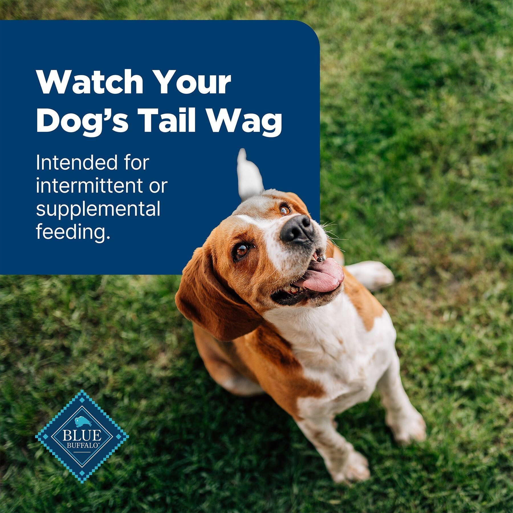 Blue Buffalo Nudges Jerky Cuts Chicken Dog Treats