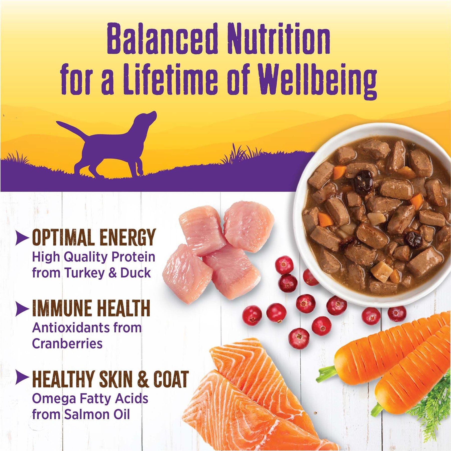 Wellness Turkey & Duck Stew with Sweet Potatoes & Cranberries Canned Dog Food