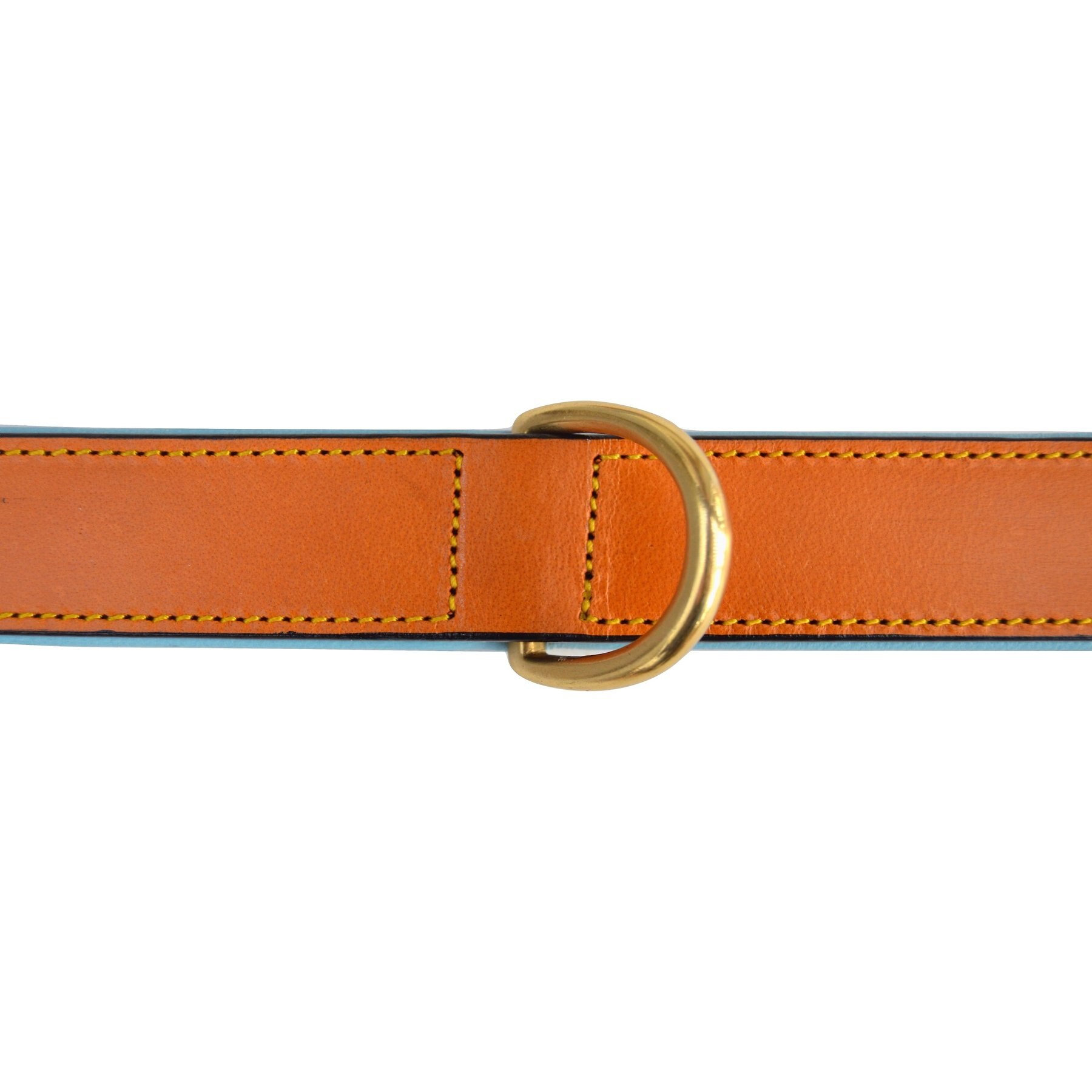Soft Touch Collars Leather Two-Tone Padded Dog Collar