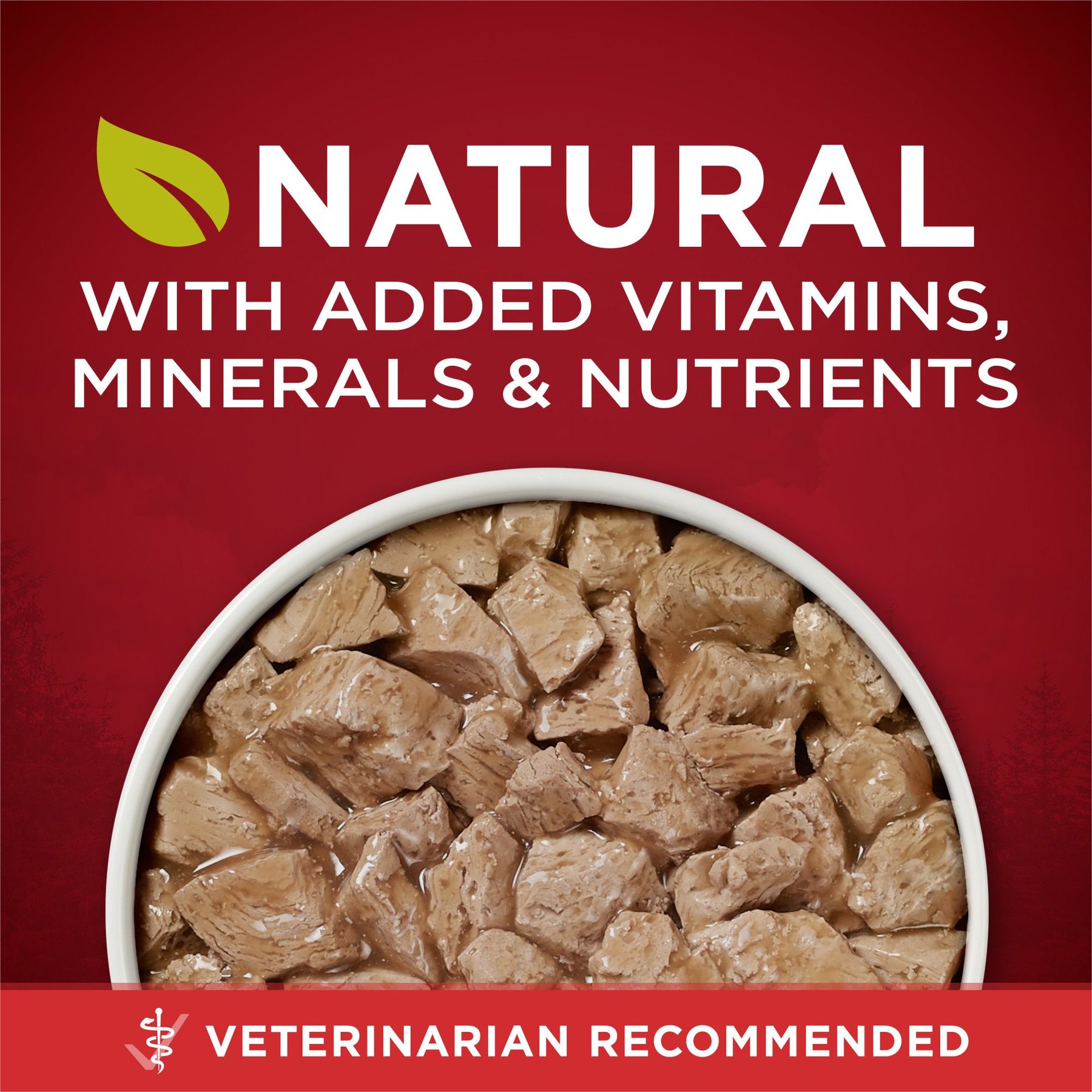 Purina ONE SmartBlend True Instinct Tender Cuts in Gravy with Real Turkey & Venison Canned Dog Food