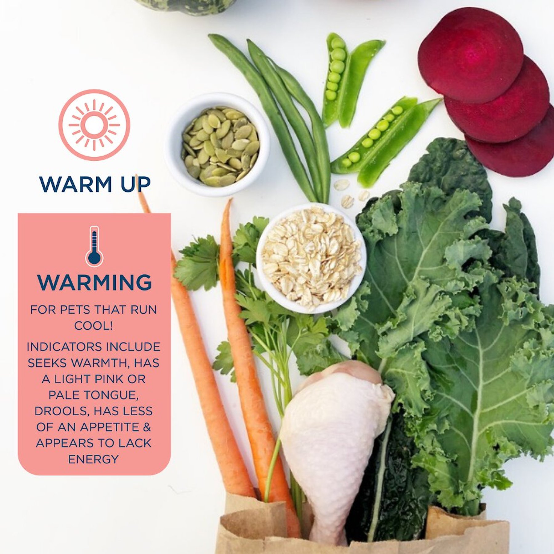 Side By Side Warming Complete & Balanced Chicken & Lamb Stew Wet Dog Food, 12.5-oz box