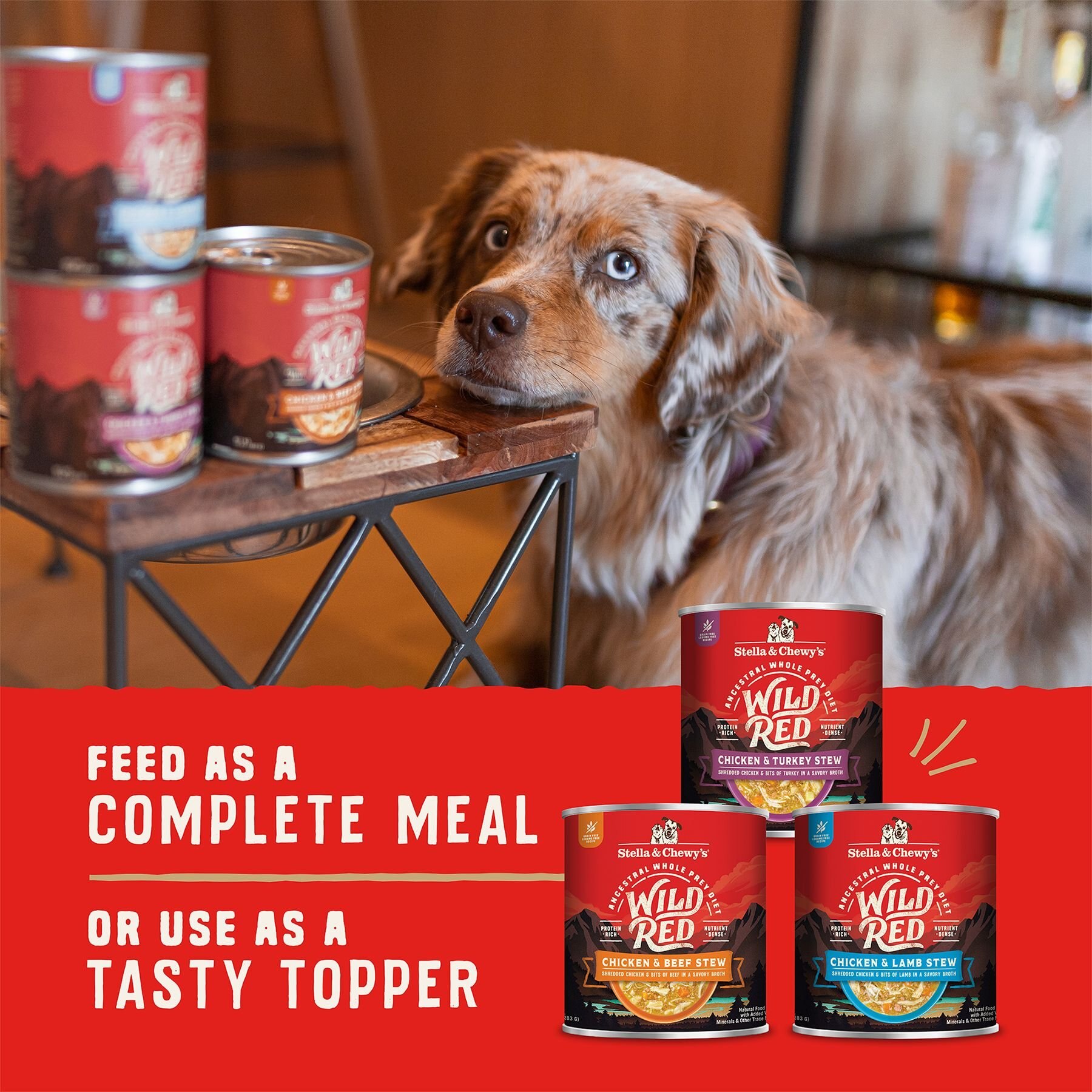 Stella & Chewy's Wild Red Variety Pack Grain-Free Wet Dog Food