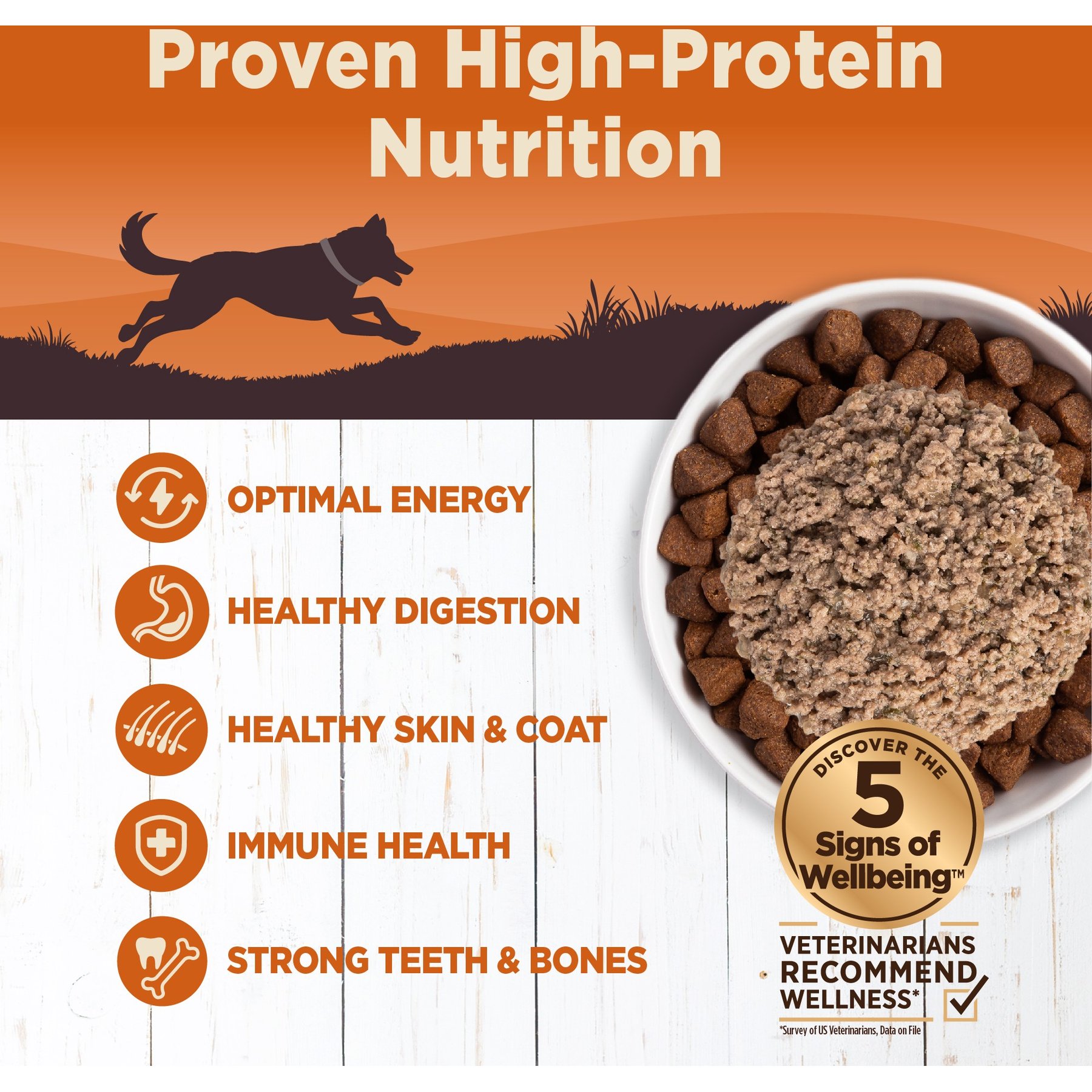 Wellness CORE 95% Grain-Free Turkey & Spinach Canned Dog Food