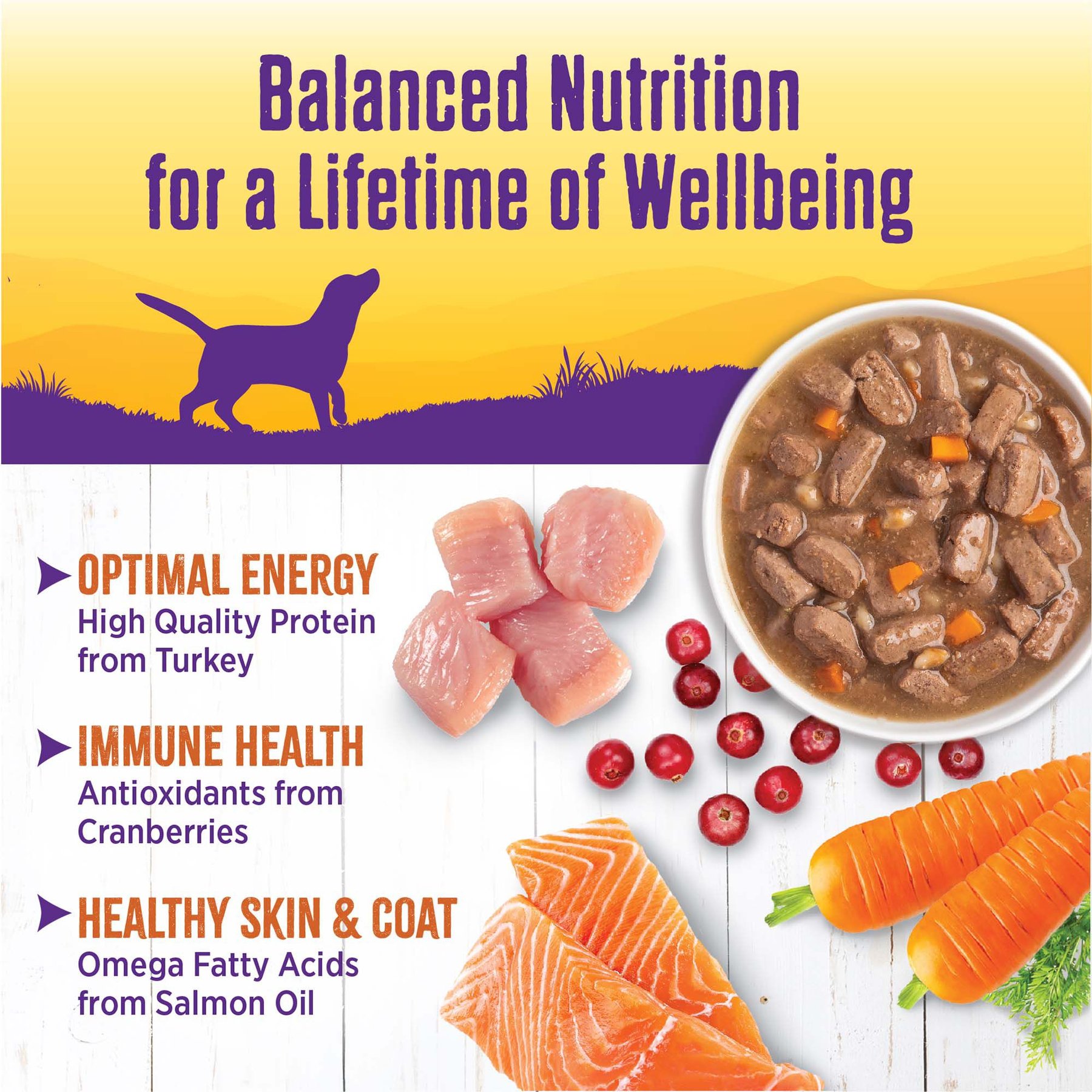 Wellness Turkey Stew with Barley & Carrots Canned Dog Food