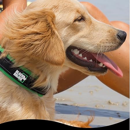 Black Rhino The Comfort Ultra Soft Neoprene Padded Dog Collar for All Breeds - Heavy Duty Adjustable Reflective Weatherproof
