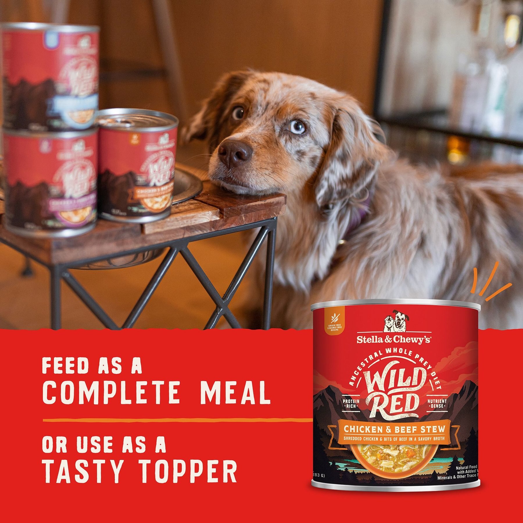 Stella & Chewy's Wild Red Grain-Free Chicken & Beef Stew Wet Dog Food