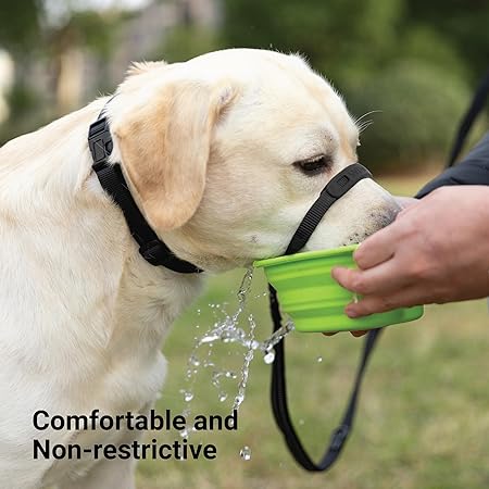 SVD.PET No-Pull Dog Headcollar Easier Walks, Chew-Proof Protector Increase Comfort, Simple Design, Easy to Wear Adjust (Medium for Small and Medium Si