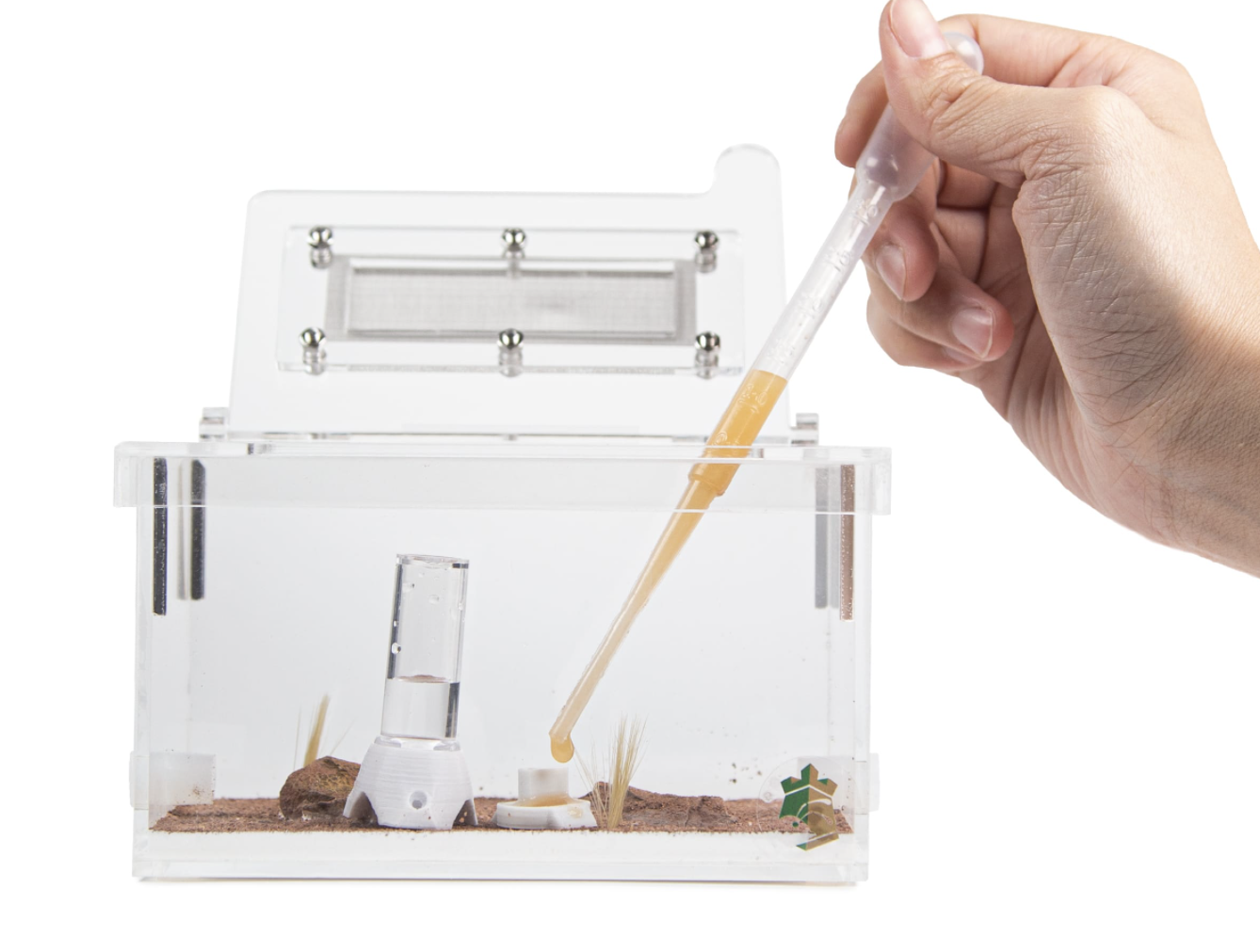 Desert Ant Formicarium with Gravel and Artificial Plant