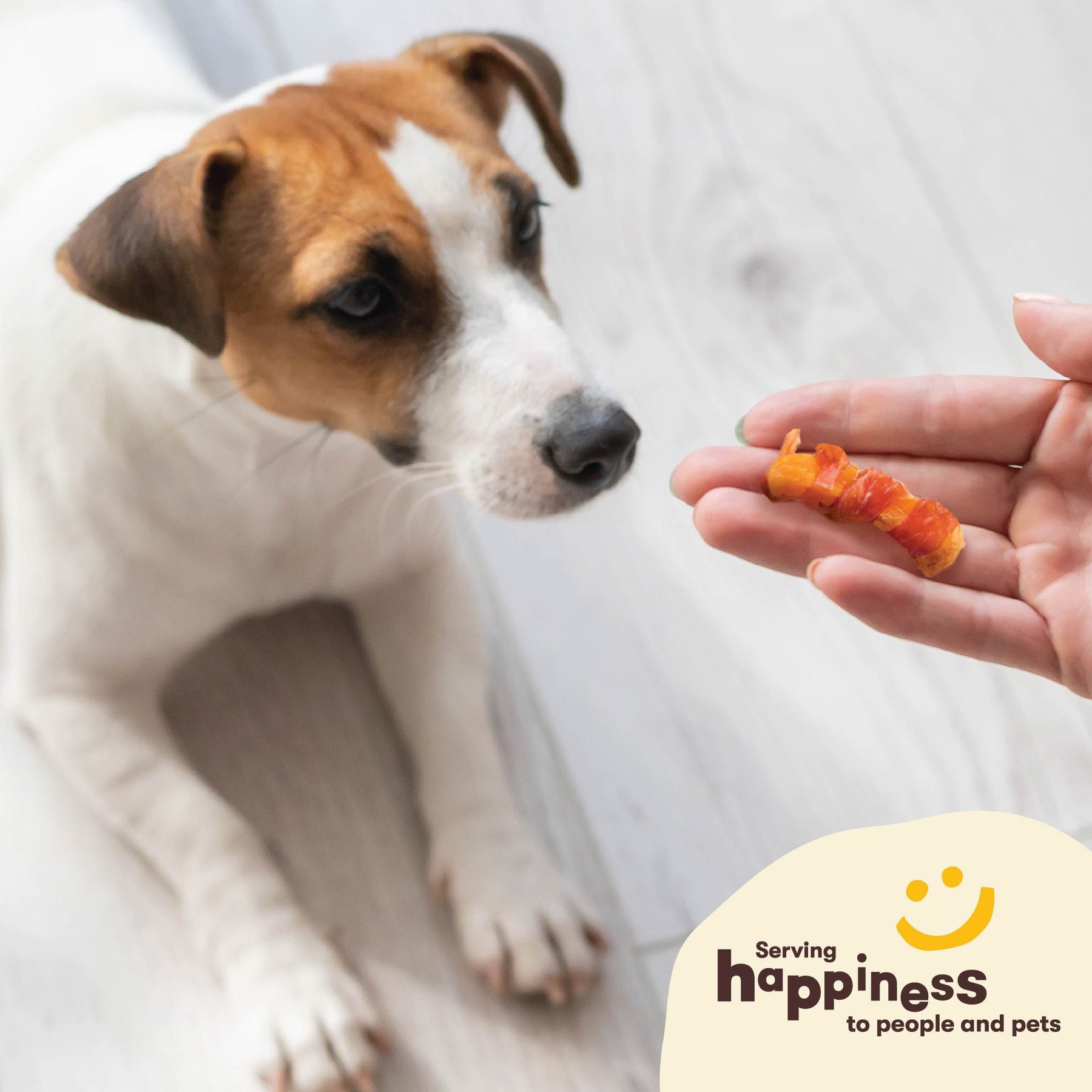 Pet 'n Shape Grain-Free Chik 'n Sweet Potato Dog Treats