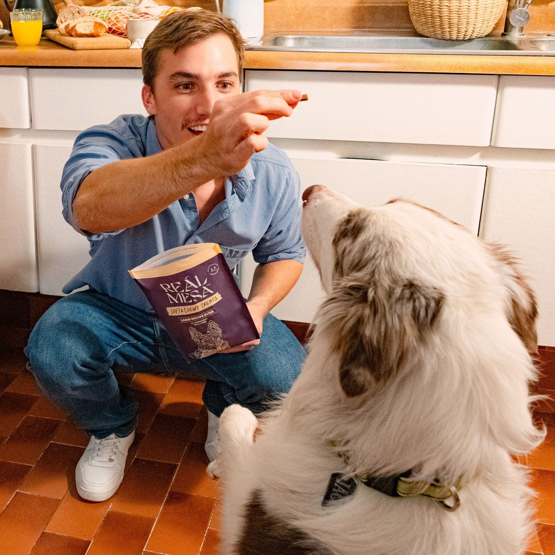 REÁL MESA Lamb Recipe Bites Dog Soft & Chewy Treat