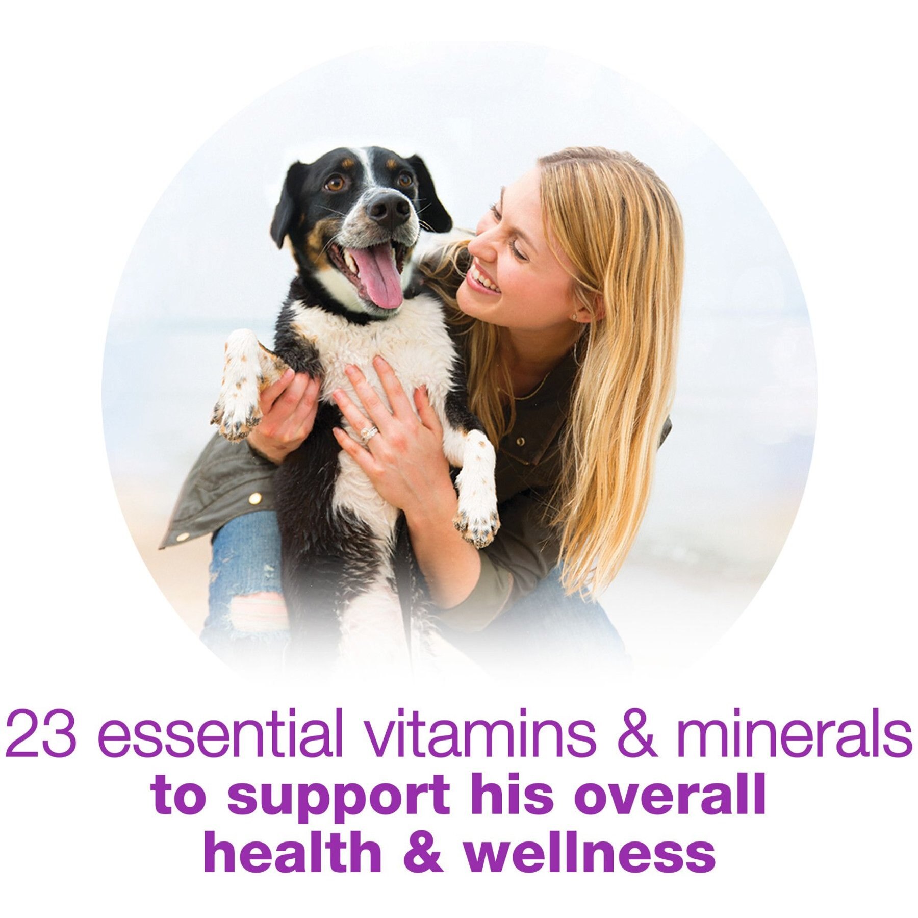 Purina Beneful Chopped Blends with Beef, Carrots, Peas & Barley Wet Dog Food