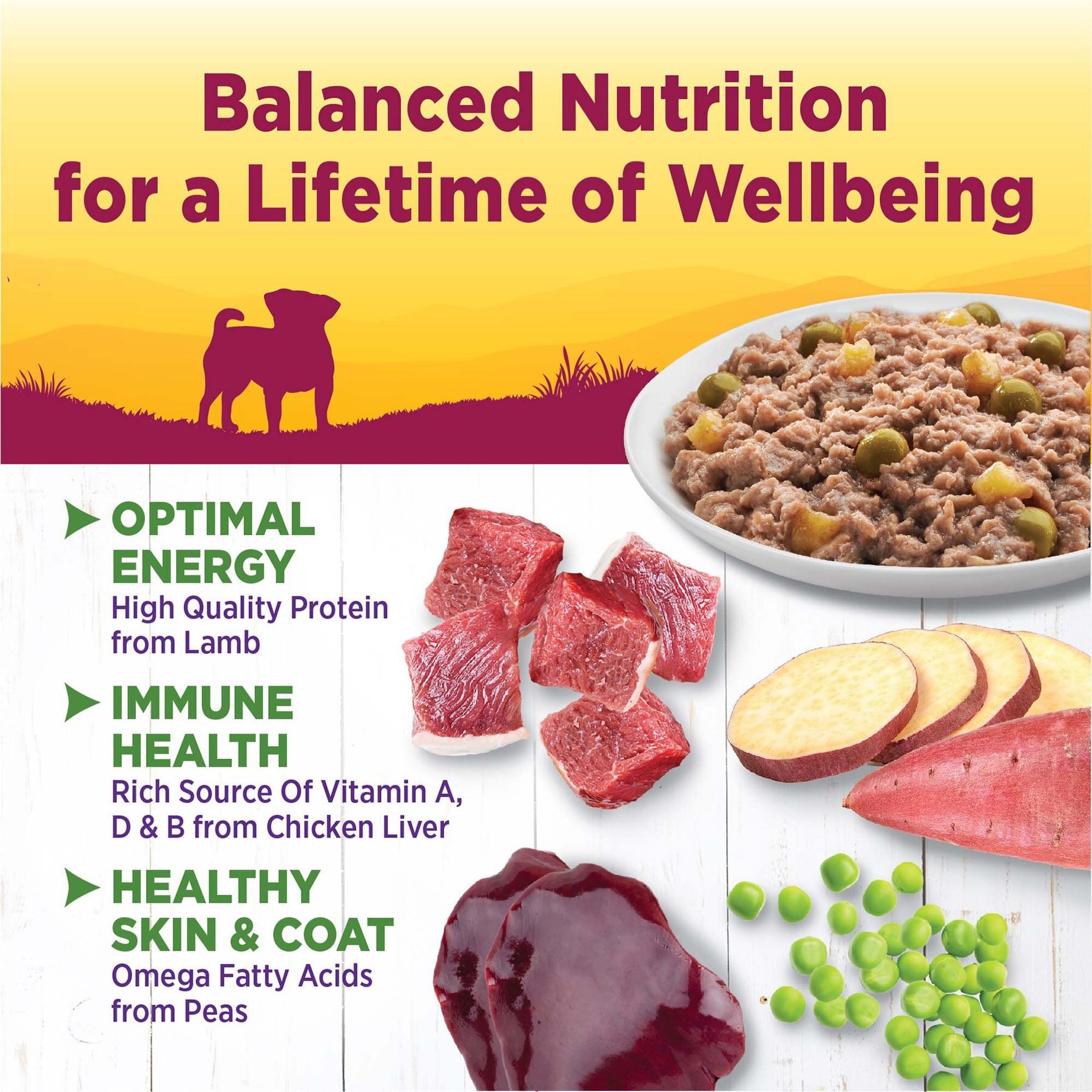 Wellness Petite Entrees Casserole Lamb Small Breed Natural Wet Dog Food, 3-oz cup, 12 count