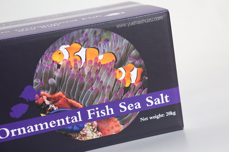 Top Unrefined fishing reel and rod set salt water Moderate Price marine ornamental fish sea salt