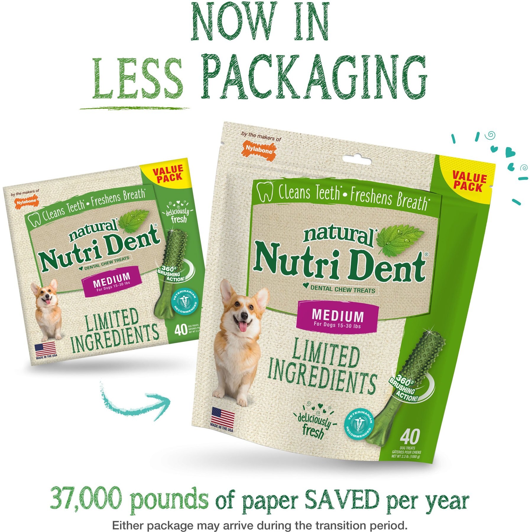Nylabone Nutri Dent Natural Dental Fresh Breath Flavored Chew Treat, Medium
