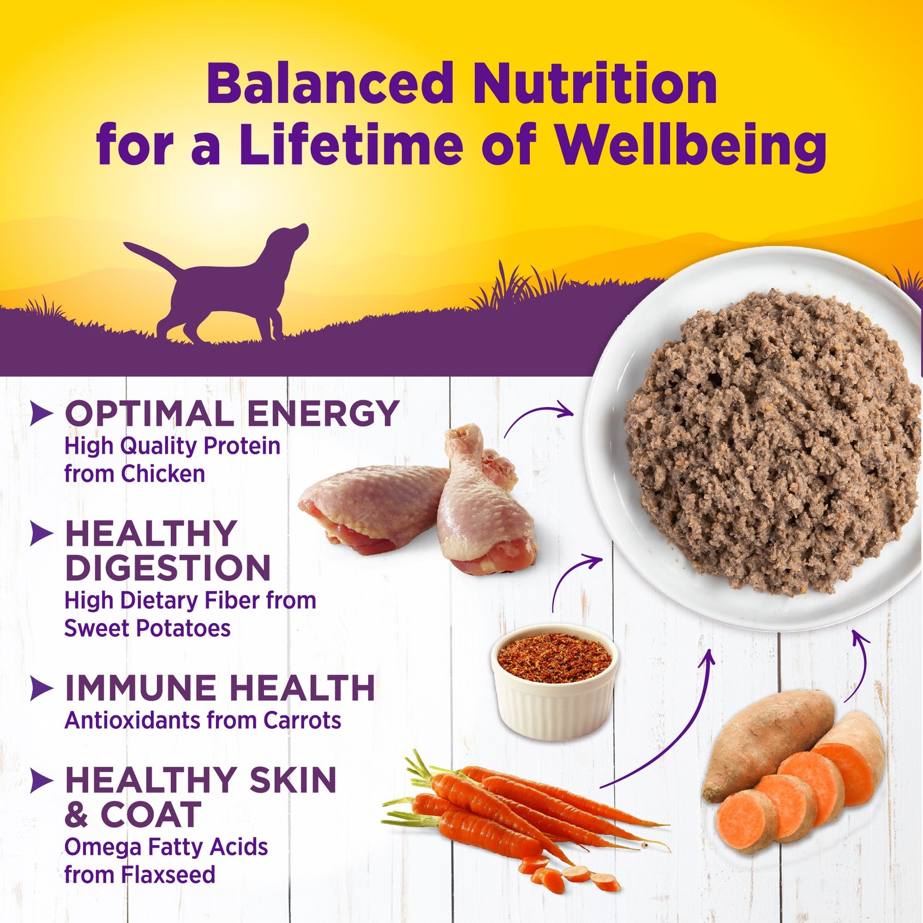 Wellness Complete Health Chicken & Sweet Potato Formula Natural Canned Dog Food