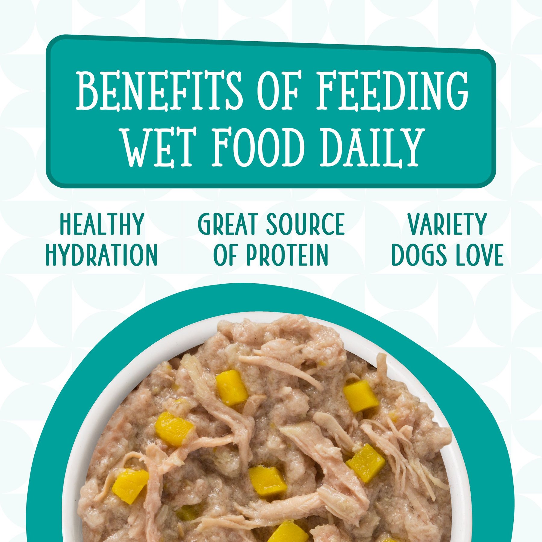 Weruva Dogs in the Kitchen Funk in the Trunk with Chicken Breast & Pumpkin Au Jus Grain-Free Dog Food Pouches