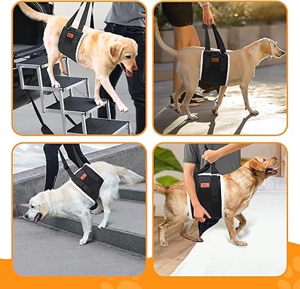 4-150 lbs Adjustable Dog Sling Large Lift Rehab Harness for Weak Rear Legs, Soft Hind Leg Support Helps Senior, Injured, Disabled and After ACL Surger